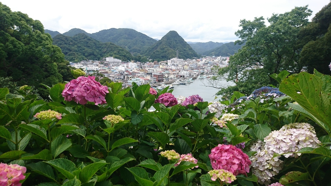 いざ、開国の街！黒船祭＆あじさい祭、見所満載の下田へGO!「1日1組限定広々コテージプラン」