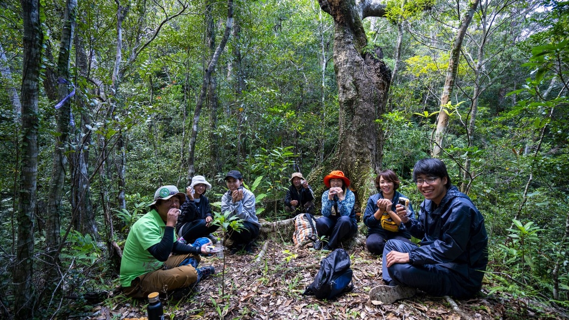 【１組限定】亜熱帯のやんばるの森を見て触れる「森トレッキングツアー」付き宿泊プラン（素泊まり）