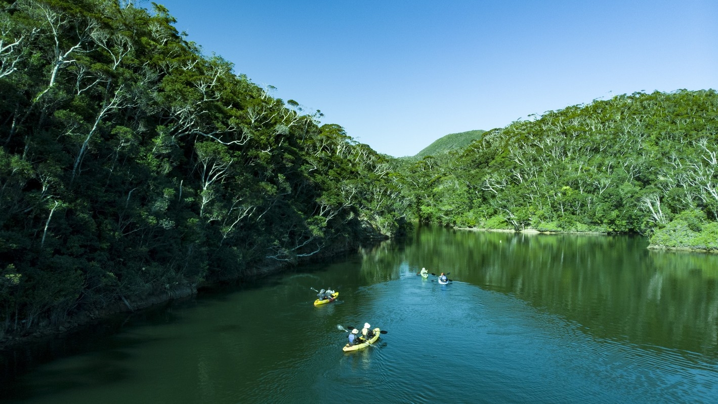 【１組限定】亜熱帯のやんばるの森を見て触れる「森トレッキングツアー」付き宿泊プラン（素泊まり）