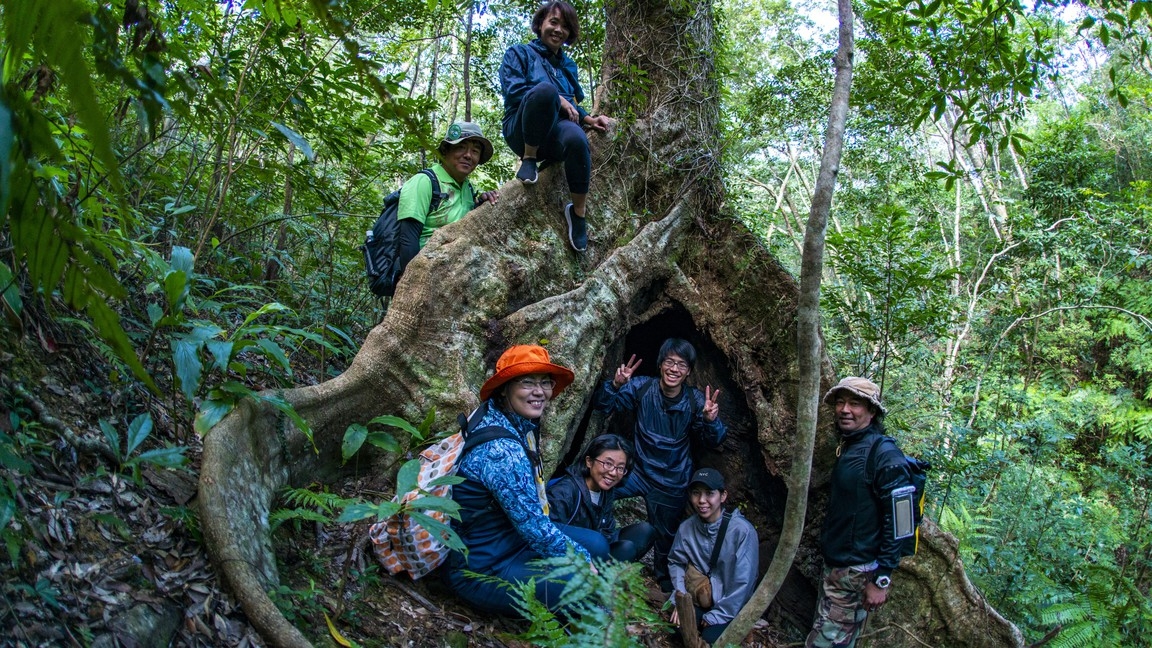 【１組限定】亜熱帯のやんばるの森を見て触れる「森トレッキングツアー」付き宿泊プラン（素泊まり）