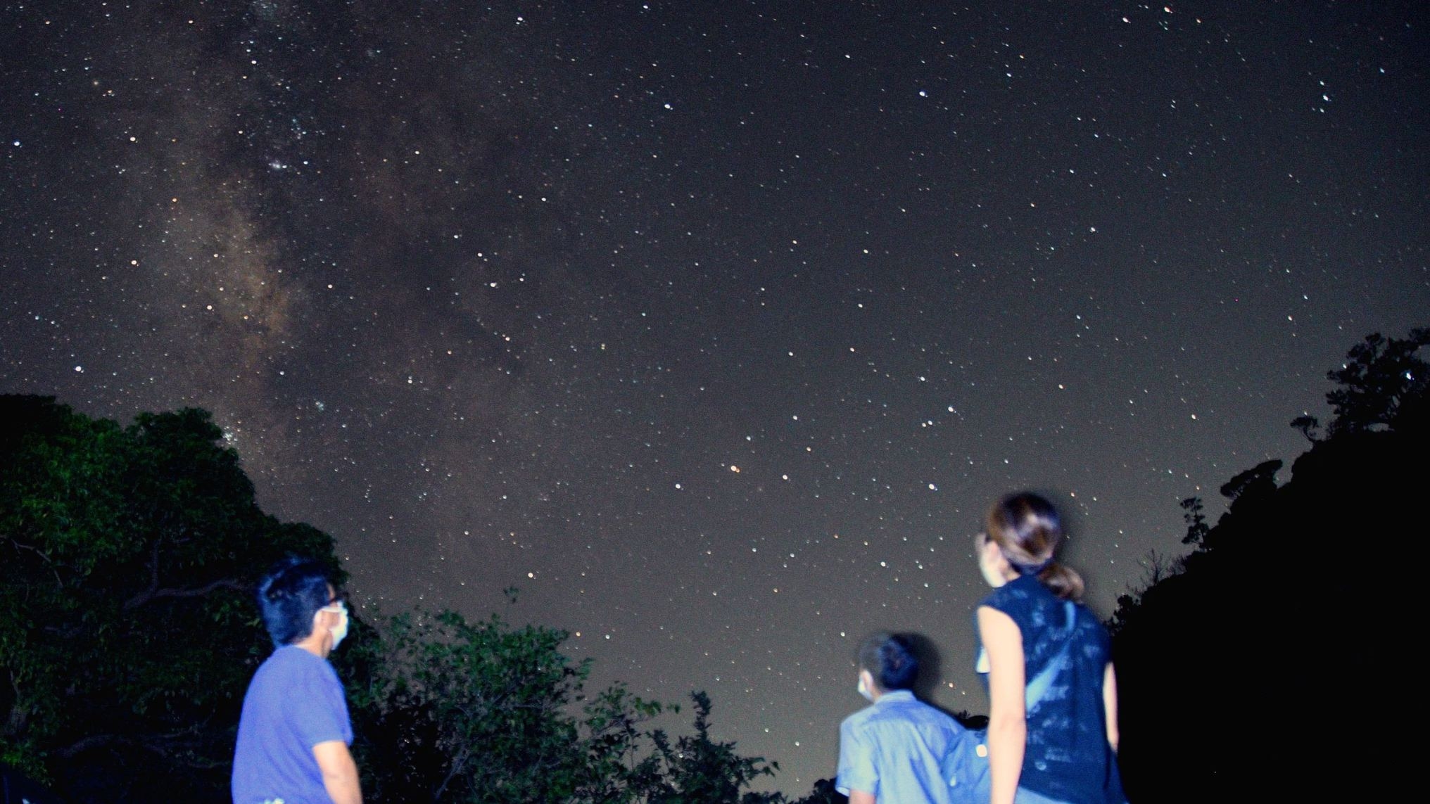 【1組貸切】生物多様性豊かな森「AKISAMIYO」保全体験型ナイトツアー付きステイ（素泊まり）