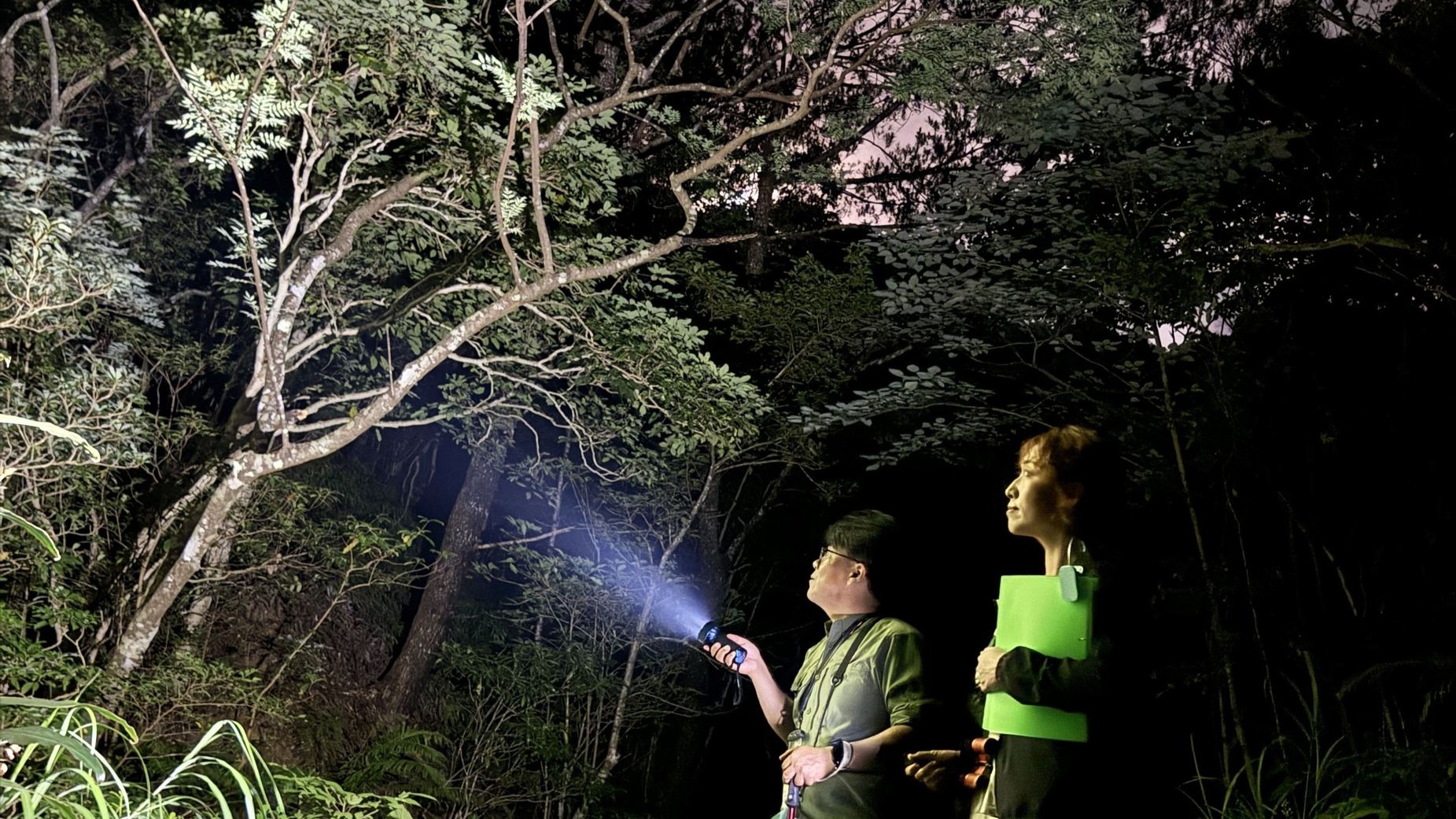 【1組貸切】生物多様性豊かな森「AKISAMIYO」保全体験型ナイトツアー付きステイ（素泊まり）