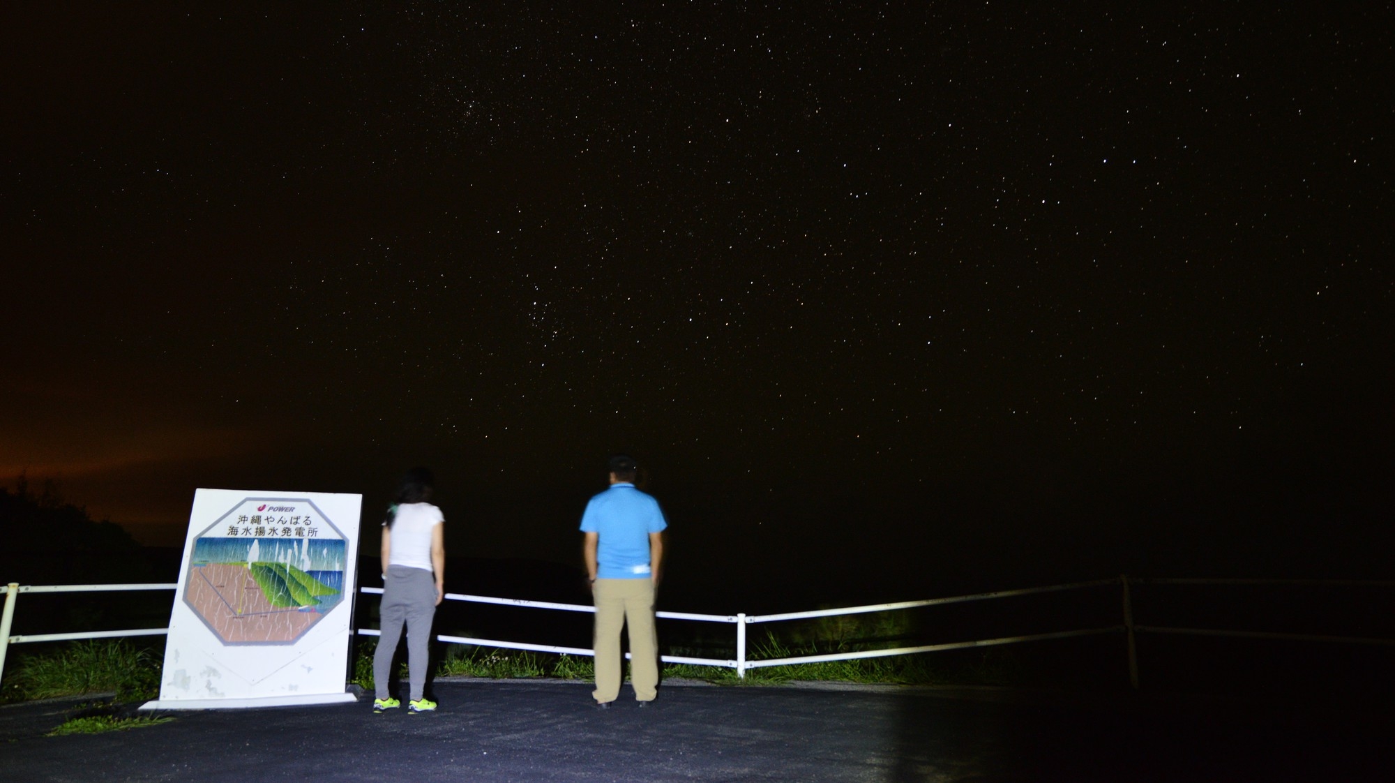 【1組貸切】やんばるナイトネイチャーウォッチ　希少生物と出会う特別な森の体験（素泊まり）