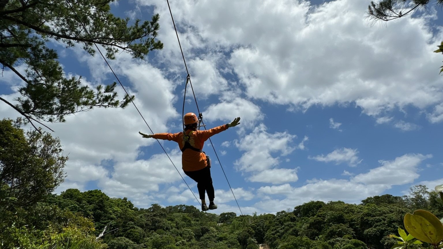 【亜熱帯エリアでの自然体験】やんばるのジャングルを空中散歩！ジップライン