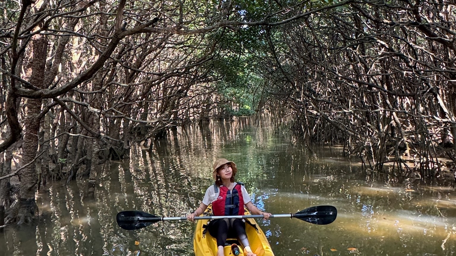 【亜熱帯エリアでの自然体験】沖縄本島最大級のマングローブでのカヤック体験
