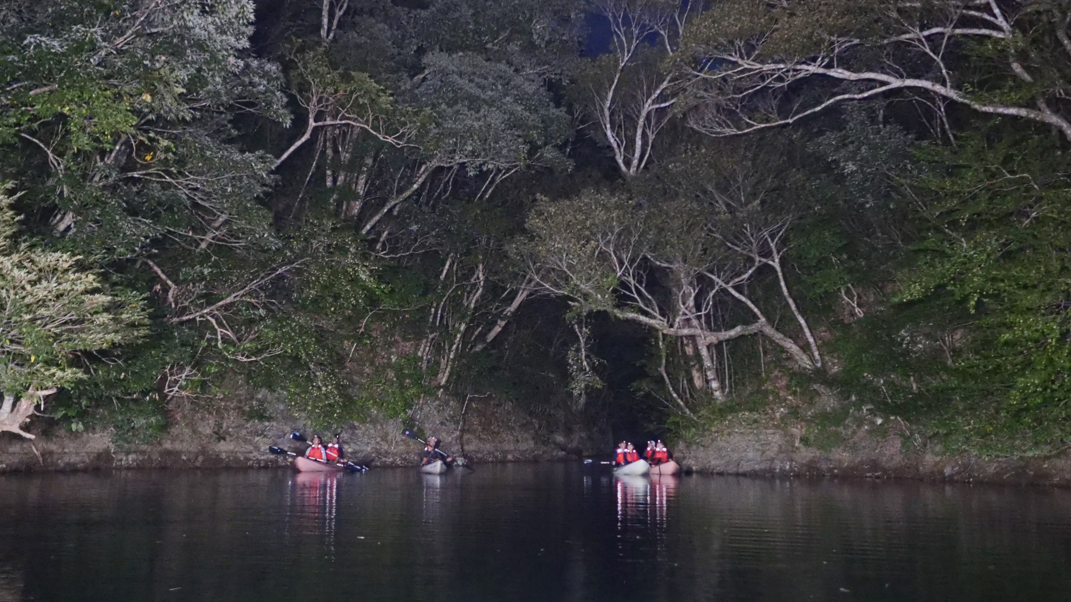 【世界自然遺産エリアでの自然体験】ガイドと行くナイトダムカヤック