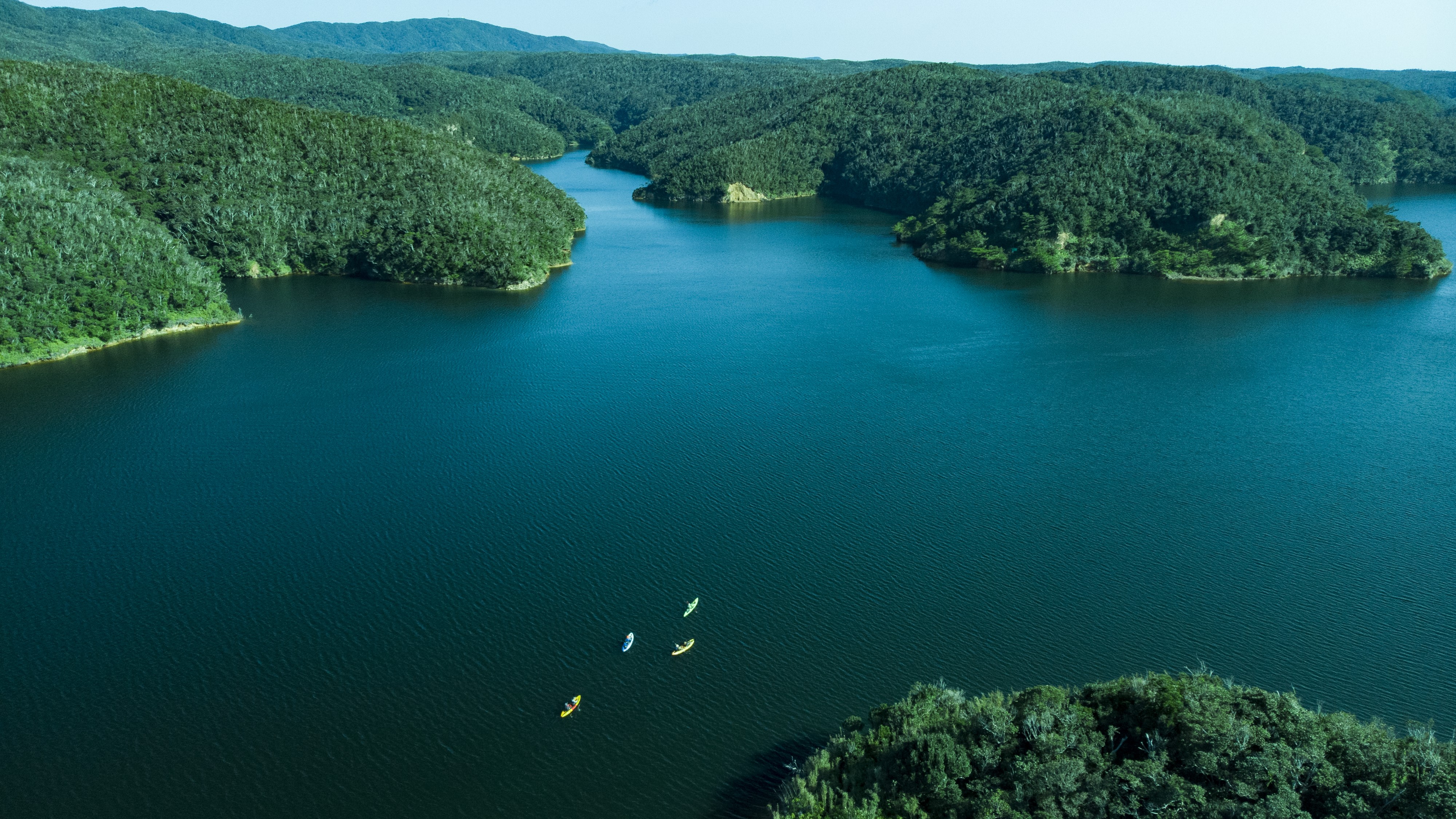 【世界自然遺産エリアの紹介】沖縄県最大のダム湖に面する世界自然遺産に登録された生物多様性の森！