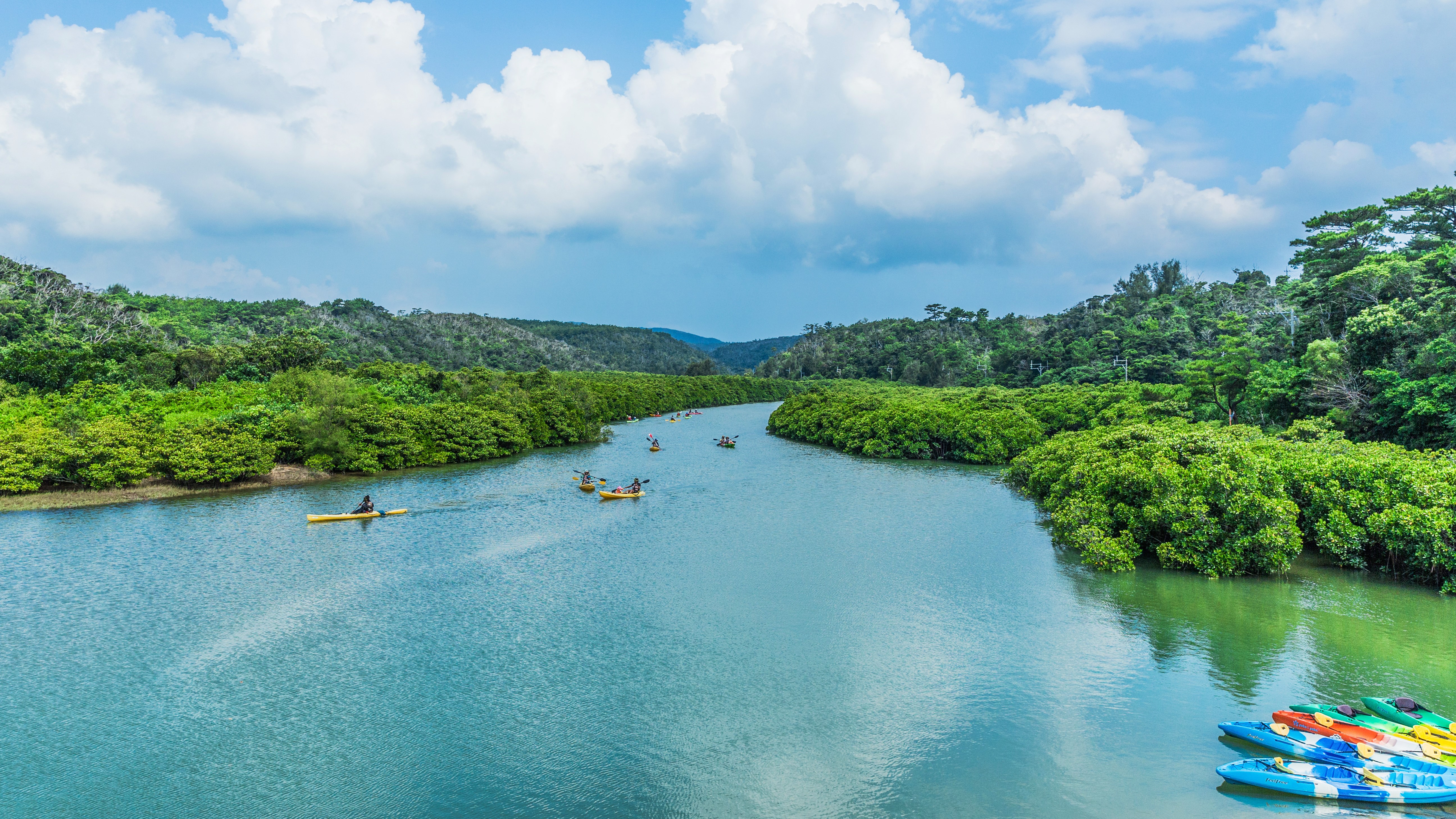 【亜熱帯エリアの紹介】沖縄本島最大級のマングローブが広がるジャングルエリア
