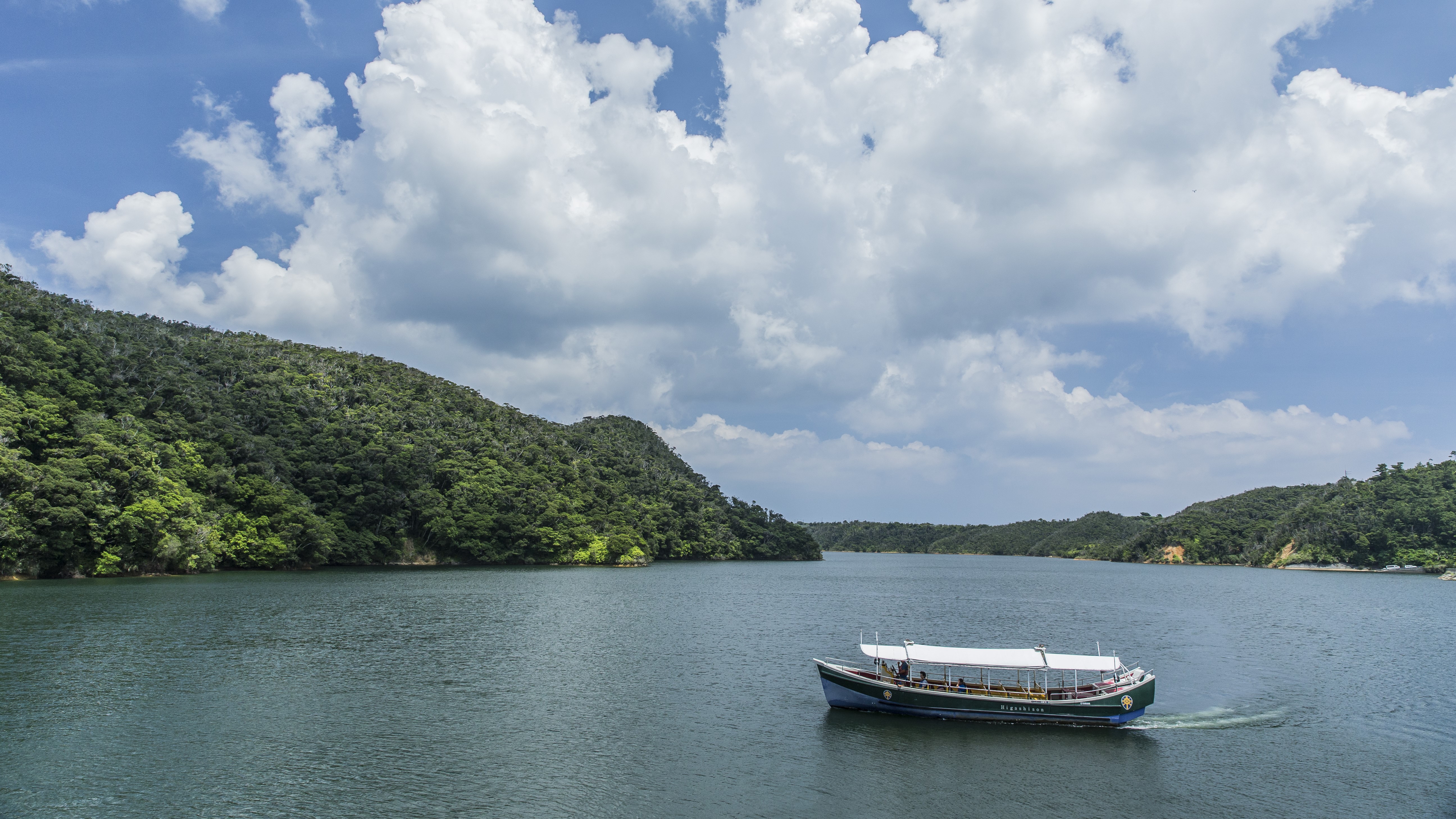 【世界自然遺産エリアでの自然体験】ガイドと世界自然遺産と村の歴史、絶景を楽しむ観察船ツアー