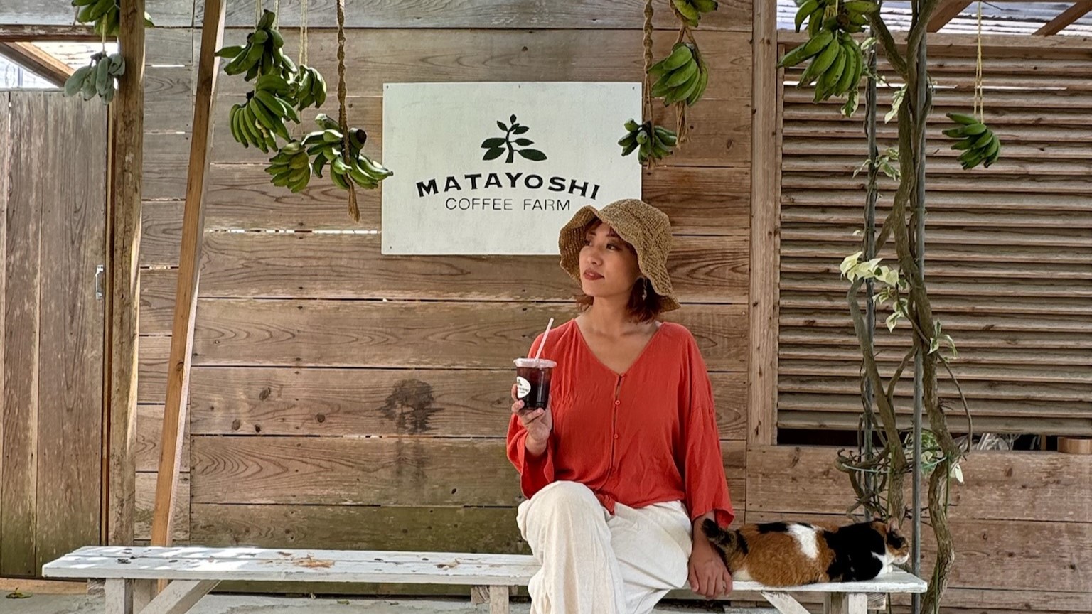 【亜熱帯エリアの施設】又吉コーヒー農園（ホテルから車で7分）