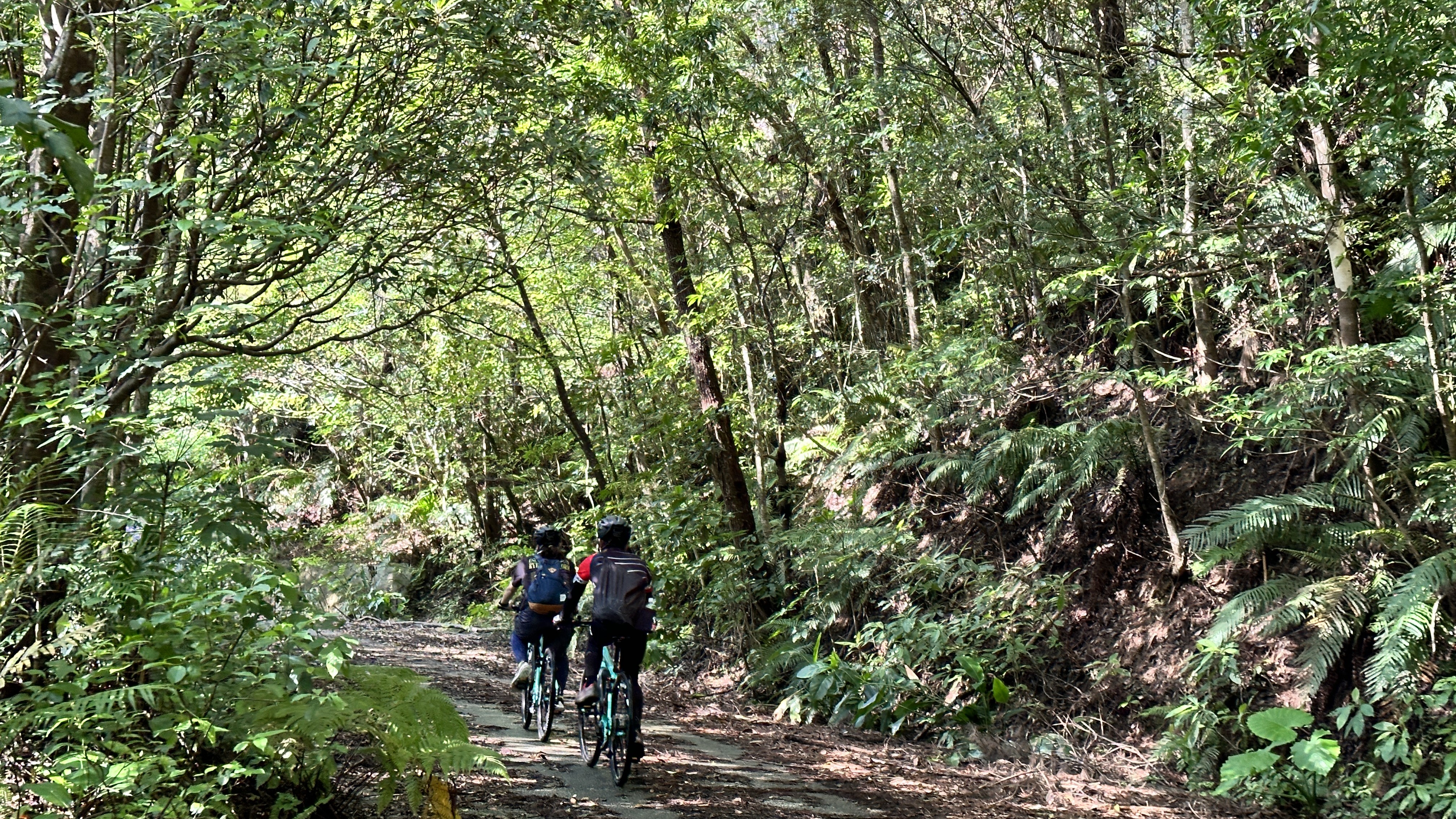 【世界自然遺産エリアでの自然体験】ネイチャーガイドとサイクリンングツアー