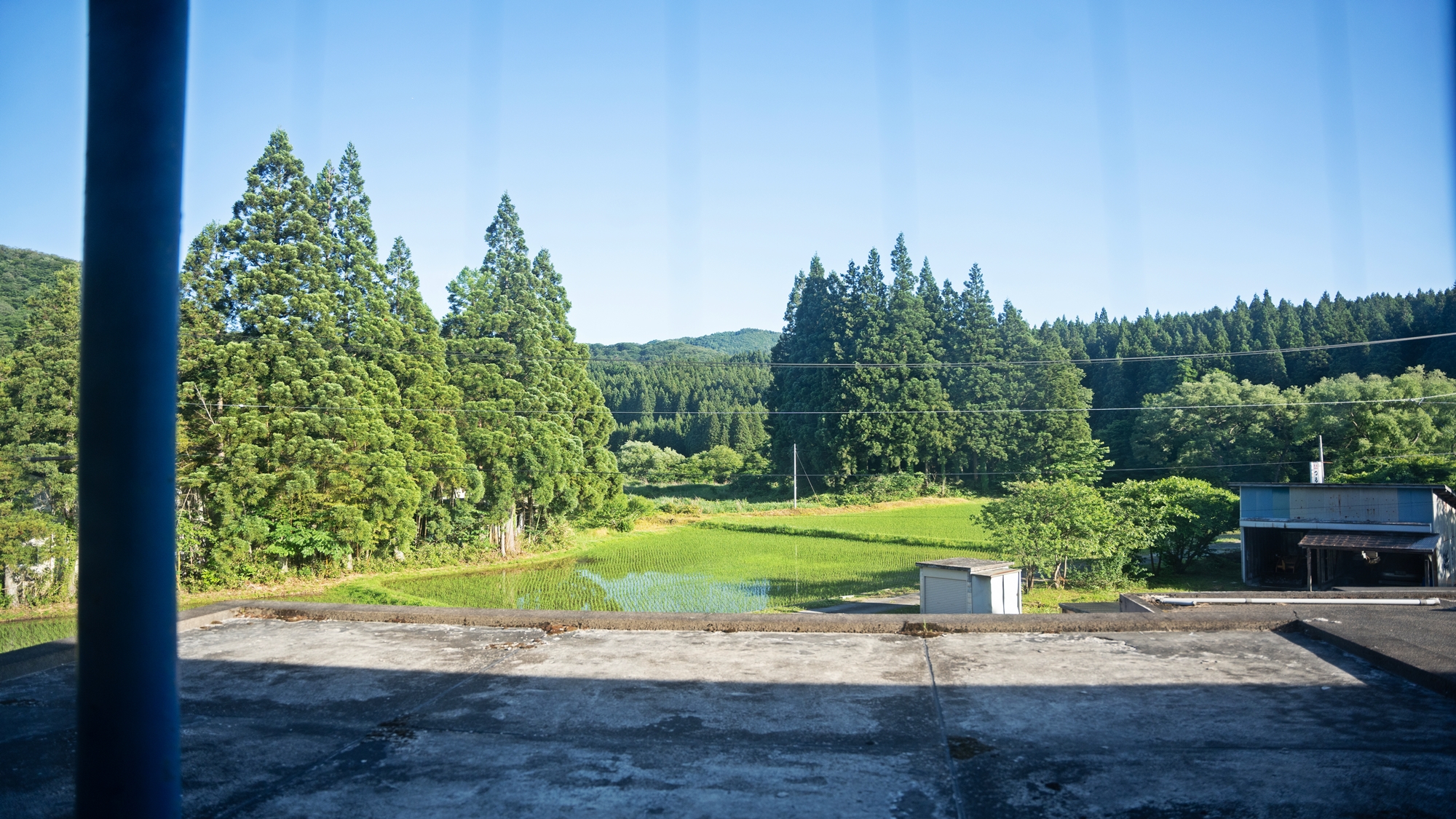 風景 / 2階のお部屋から見える外の景色。自然に囲まれた風情ある眺めに癒されます♪