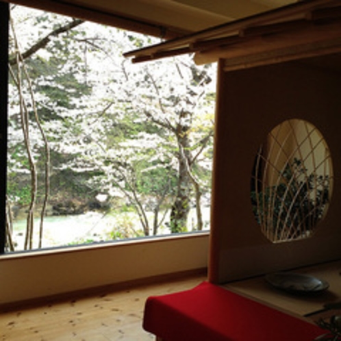 新館「桐の花」ロビーから見える桜です。