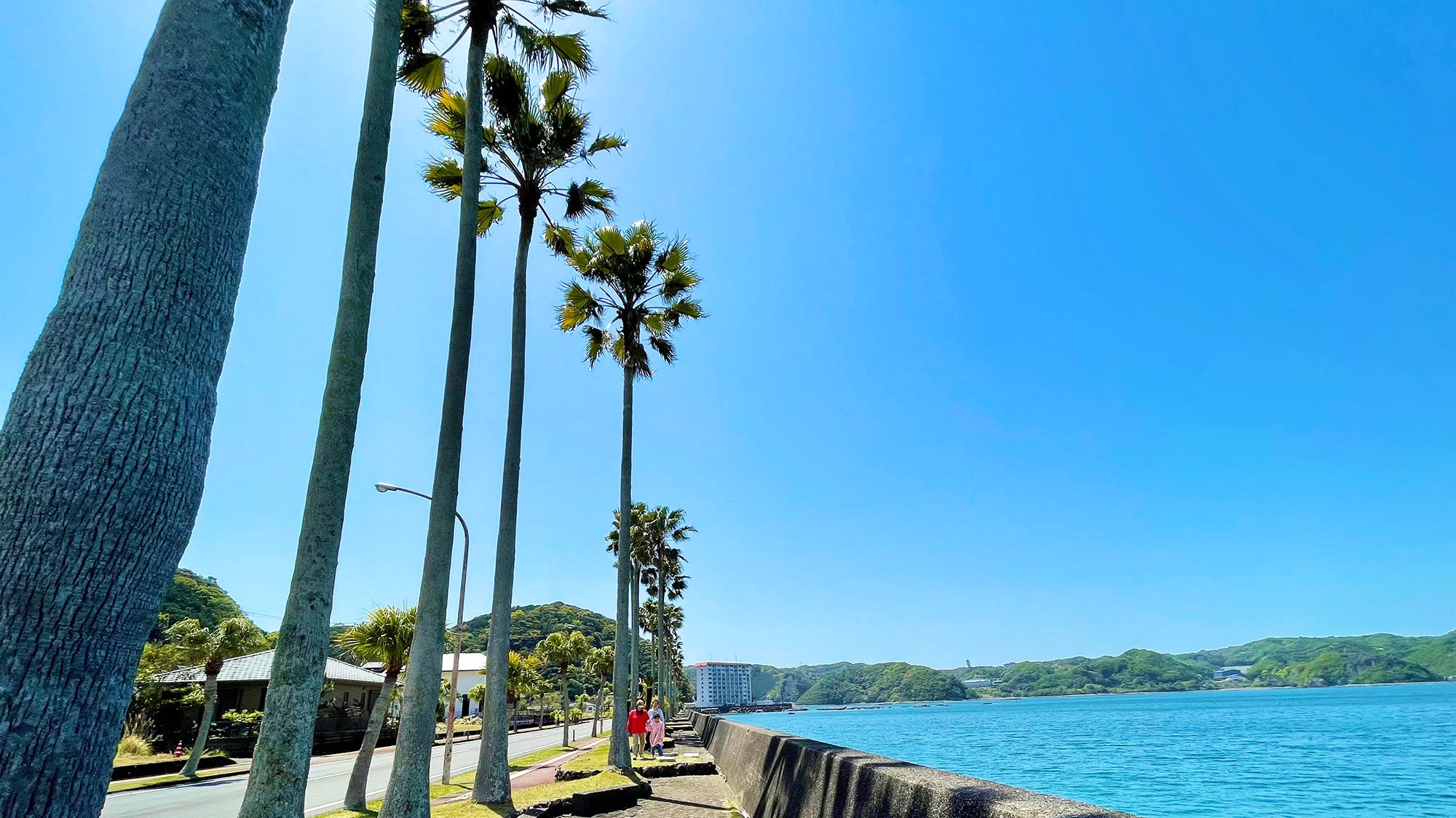 【ペット同宿可】愛犬と泊まれる一棟貸♪海まで徒歩1分！南紀・太地町のゆったりステイ〜素泊まり〜