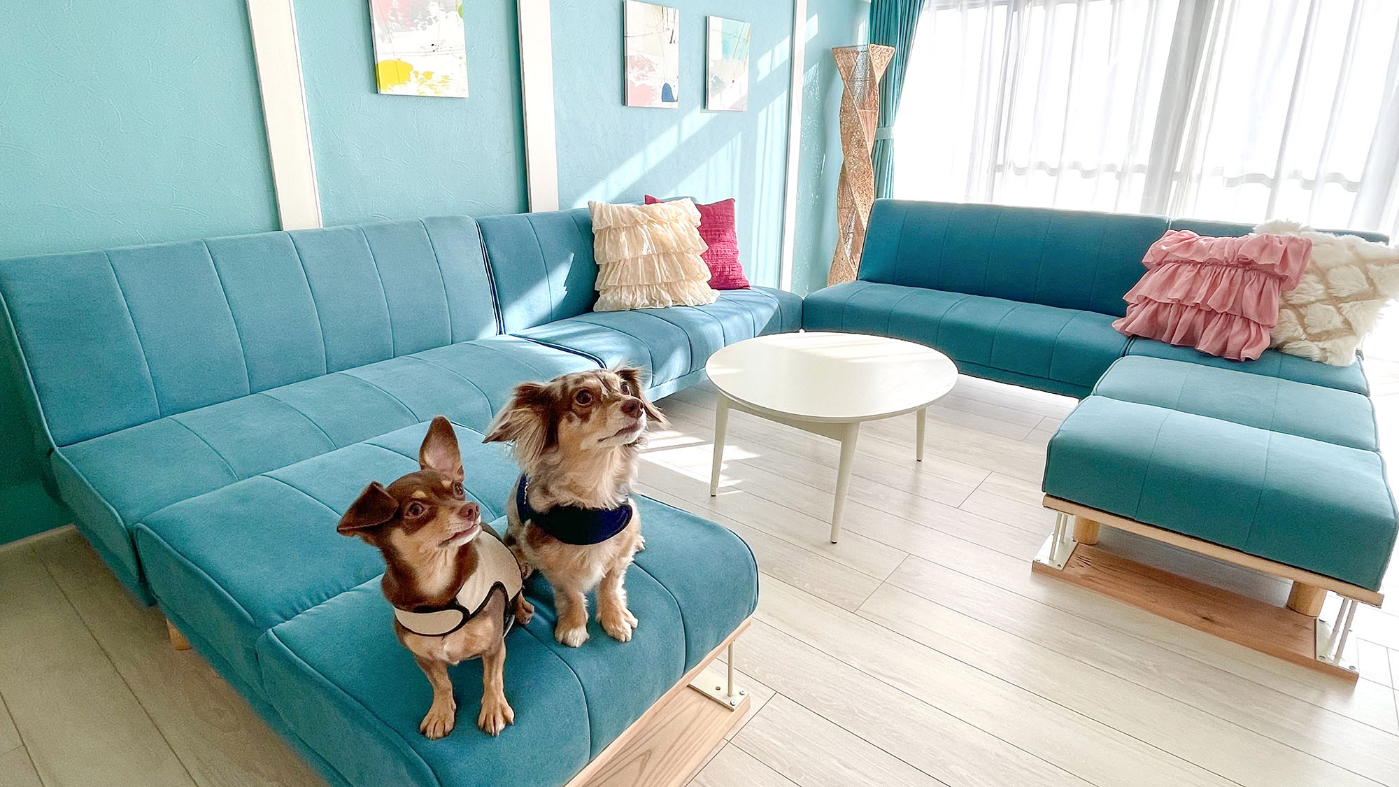 ・【ペットとお泊り】愛犬と一緒に広々空間を満喫。心安らぐひとときをお過ごしください