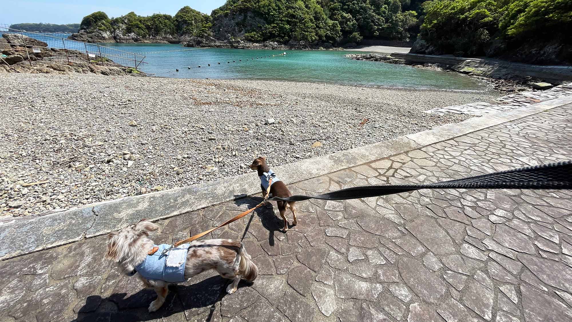 ・【ペット同伴プラン】「和歌山県朝日・夕陽百選」に選ばれたふるさと歩道まで徒歩約1分です