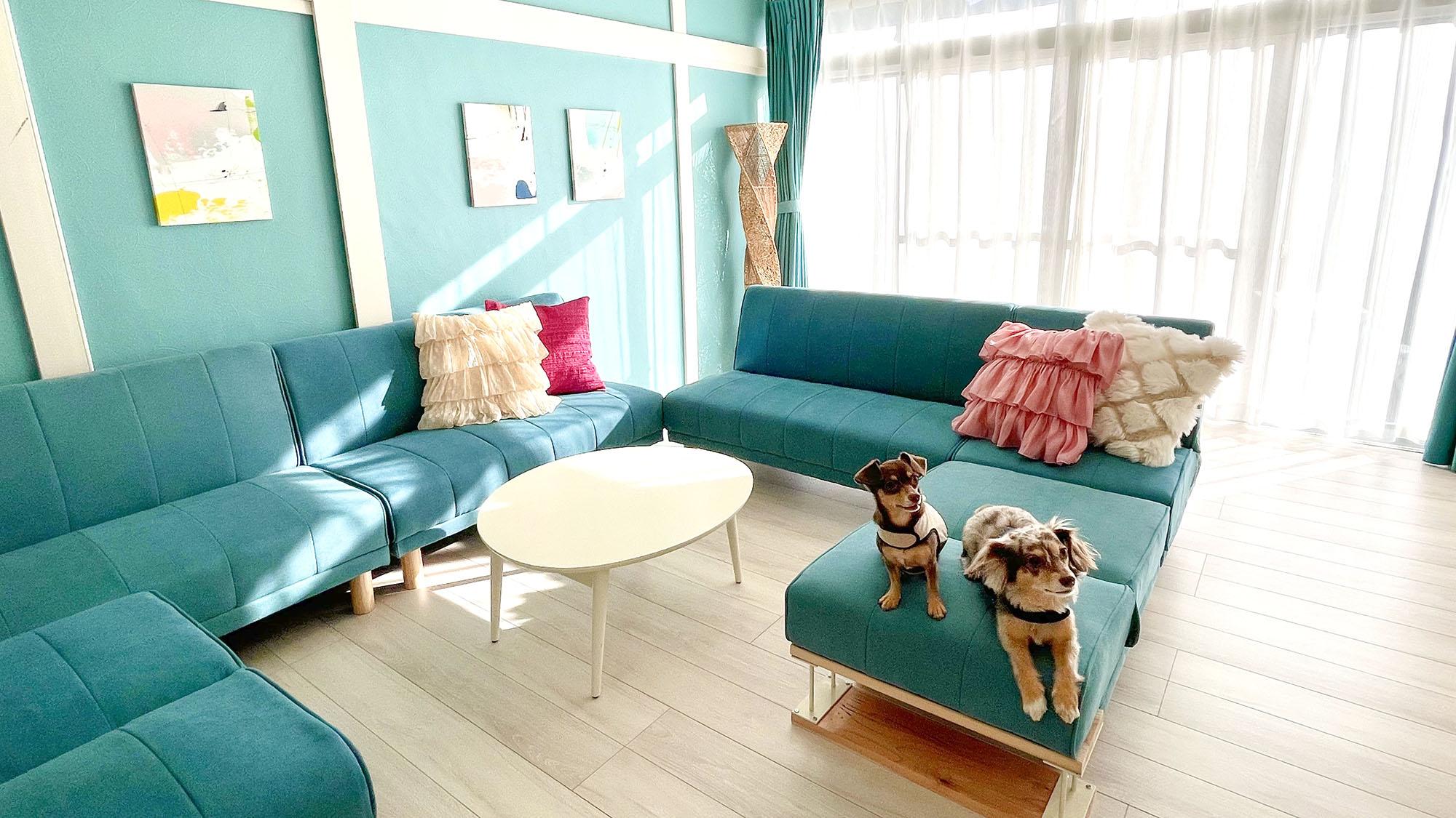 ・【ペットとお泊り】一軒家貸切で気兼ねなく、まるで我が家のようにくつろぎの時間を