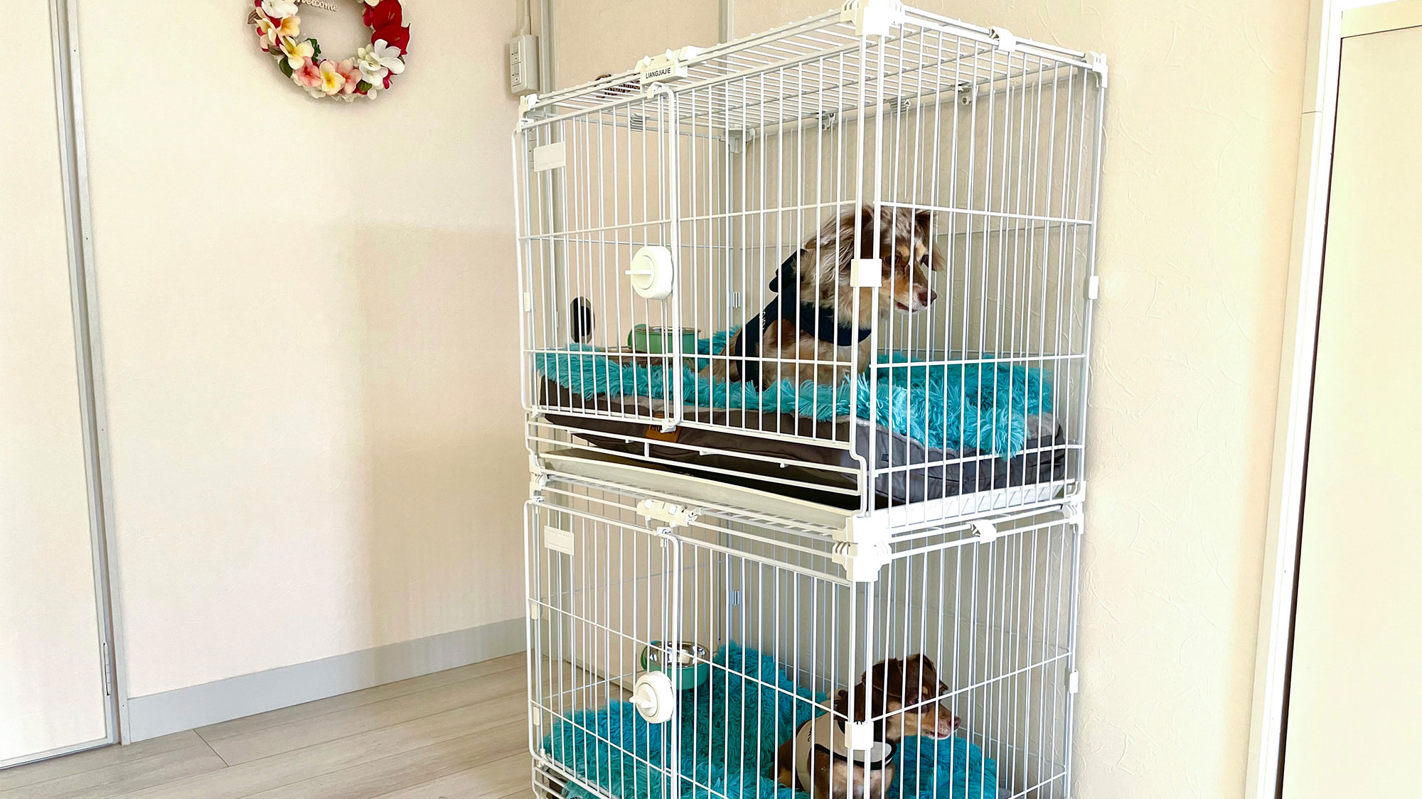 ・【ペットとお泊り】中型犬用のケージを2台ご用意しています