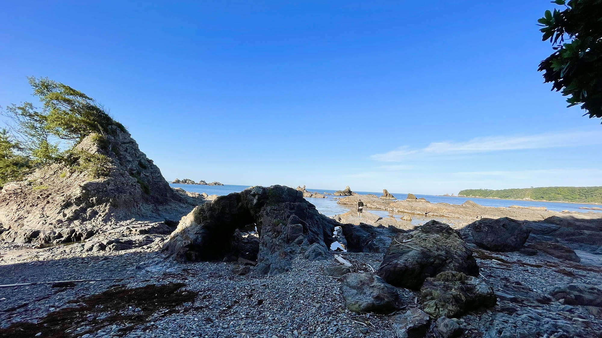 ・【風景】潮の香りを感じながら散歩が楽しめる遊歩道