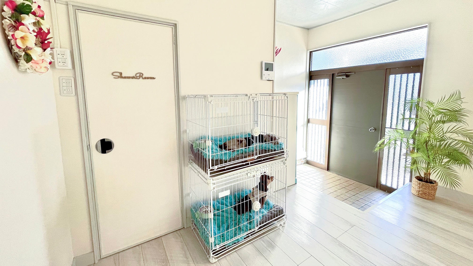 ・【ペットとお泊り】玄関入ってすぐの場所に2台の中型犬用ケージをご用意しています