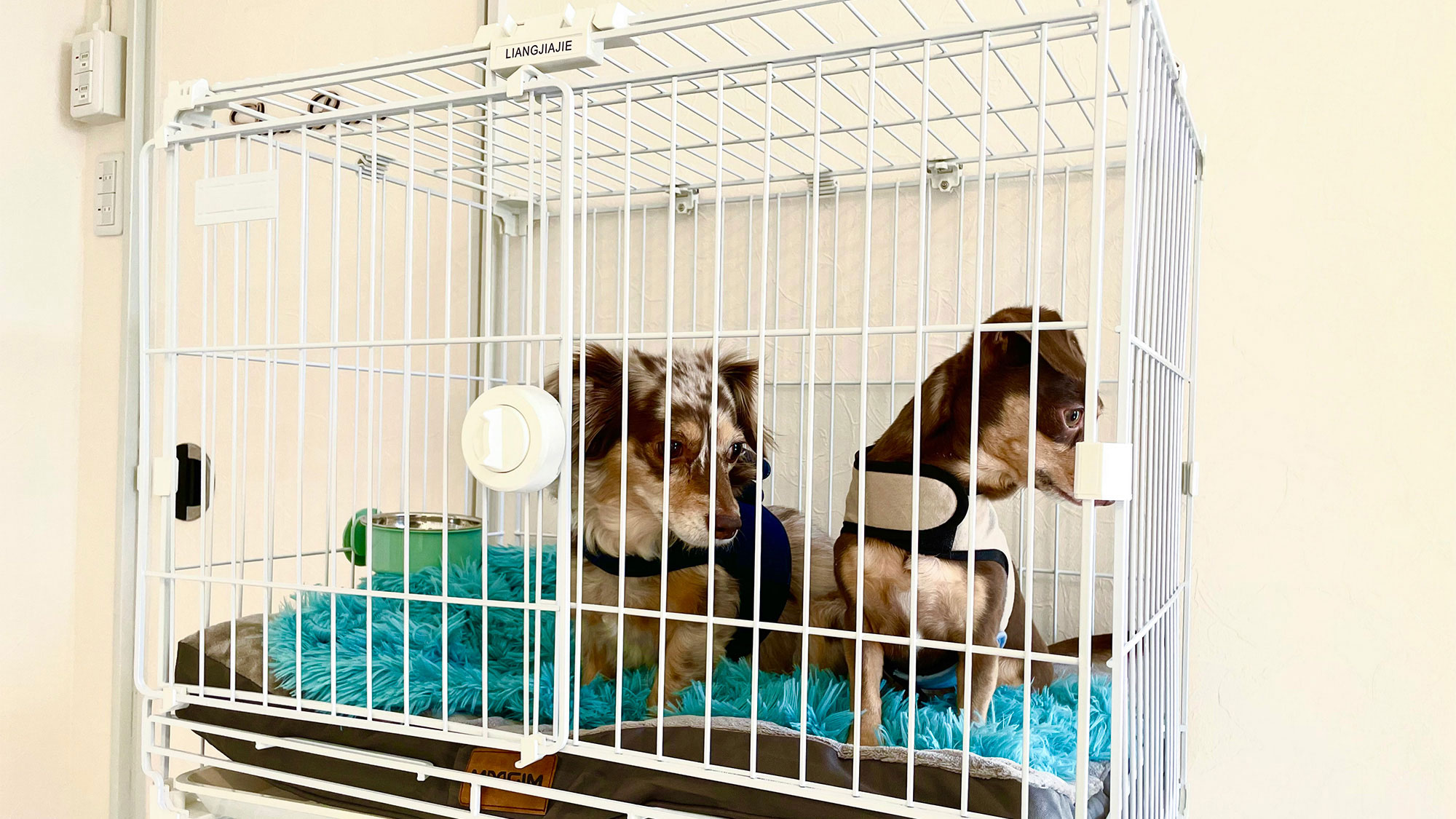 ・【ペットとお泊り】中型犬用ケージで安心して愛犬との滞在をサポートいたします