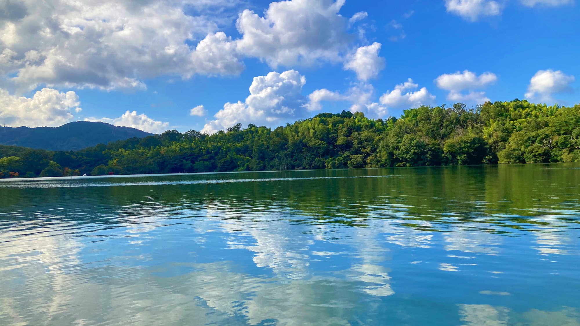 ・【周辺観光】「伊豆の瞳」と呼ばれ、四季折々の景色が堪能できる美しい湖