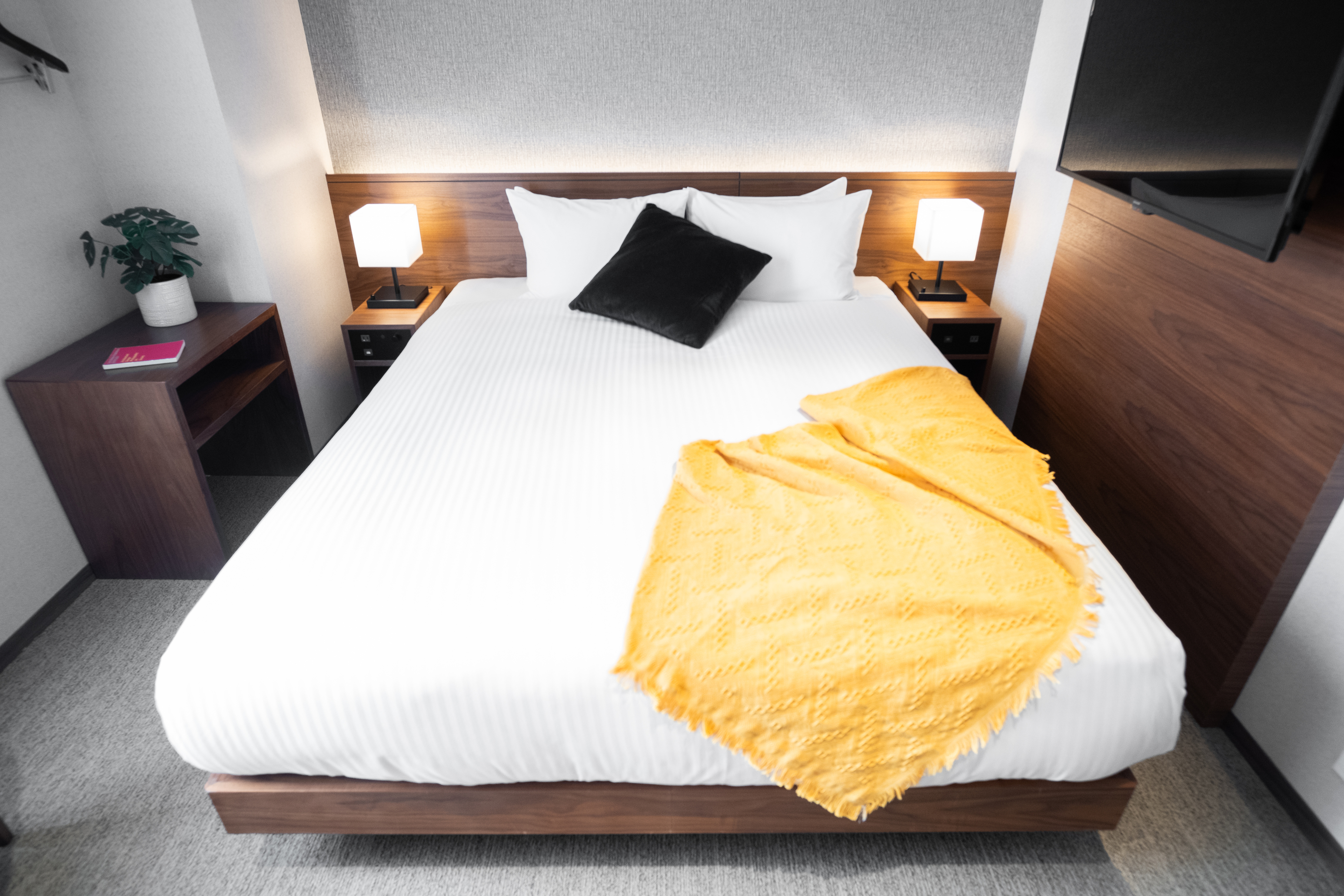 Essential 15Q（禁煙）