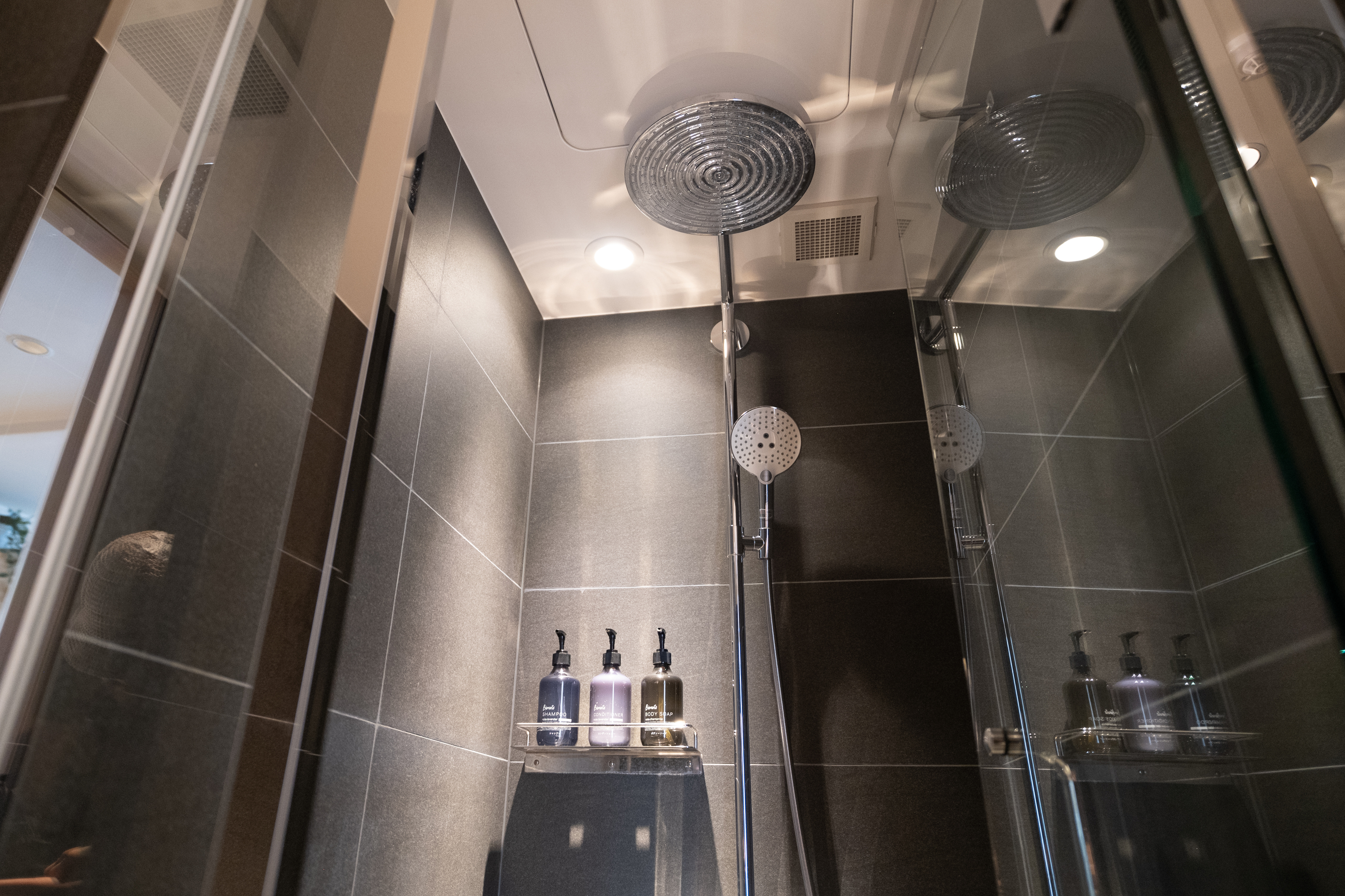 オーバーヘッドシャワーとハンドシャワー付き 