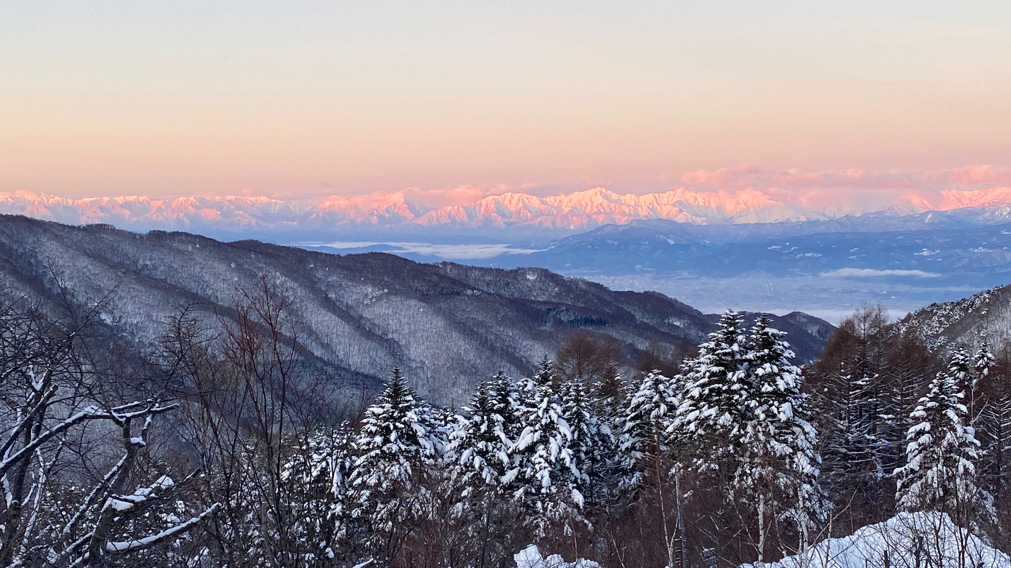 客室からの景色