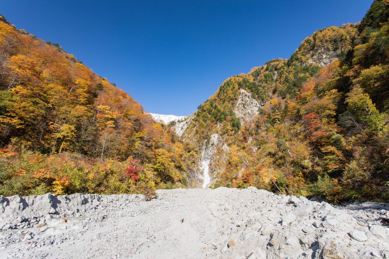 【朝食付き】新鮮野菜の健康朝食、静かな古民家で過ごす癒しの時間を