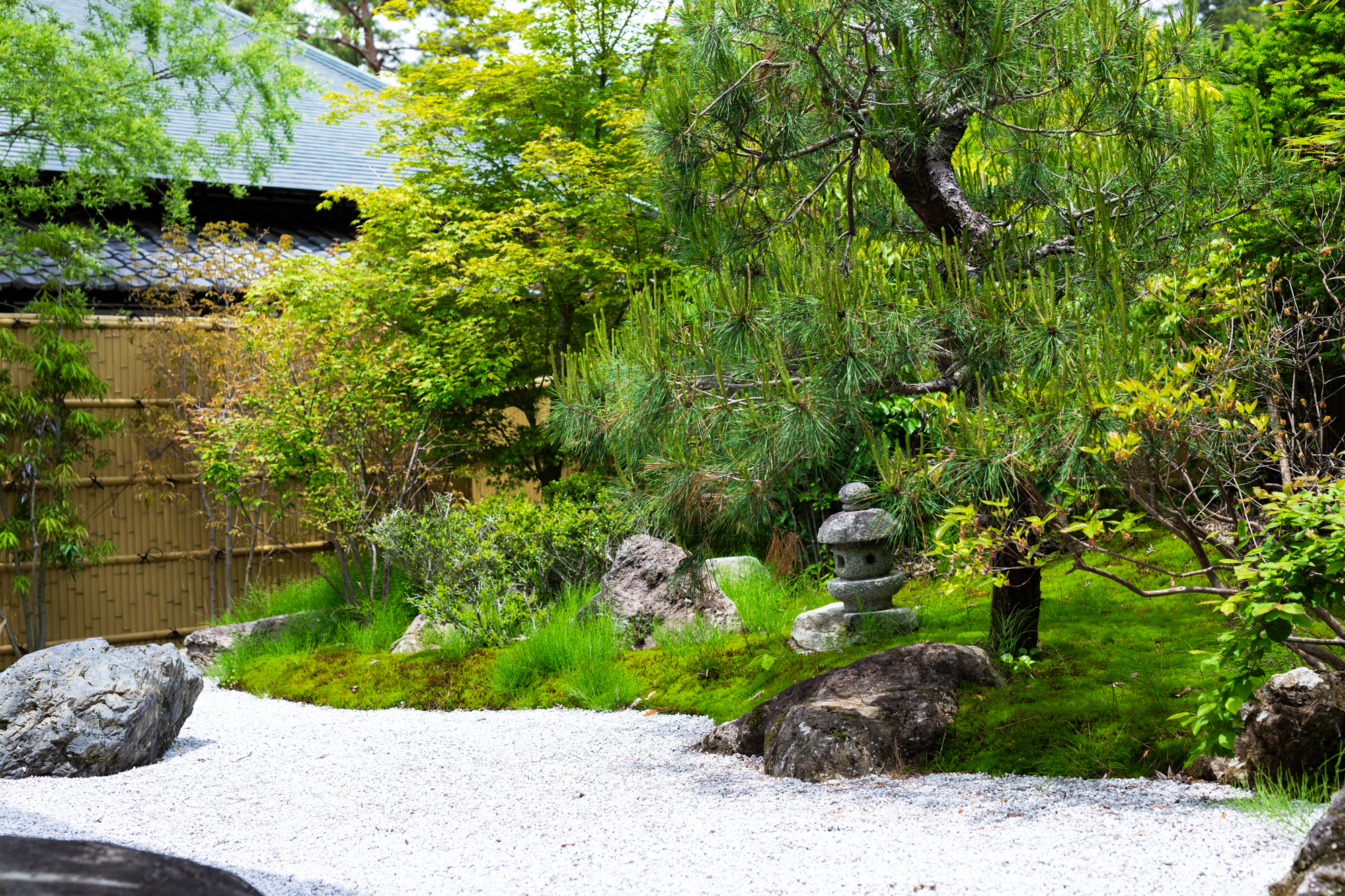 客室から望める日本庭園です
