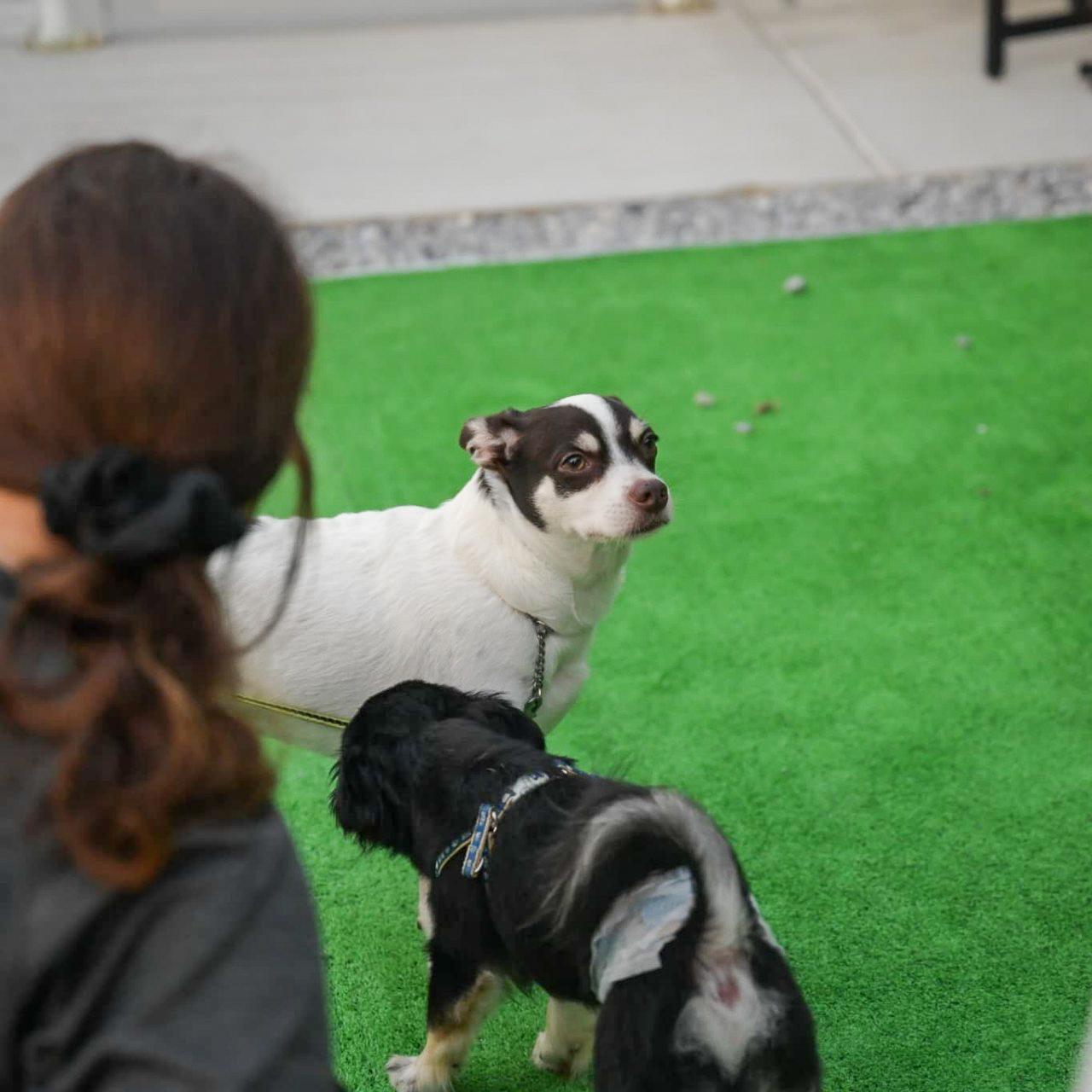 ご利用イメージ