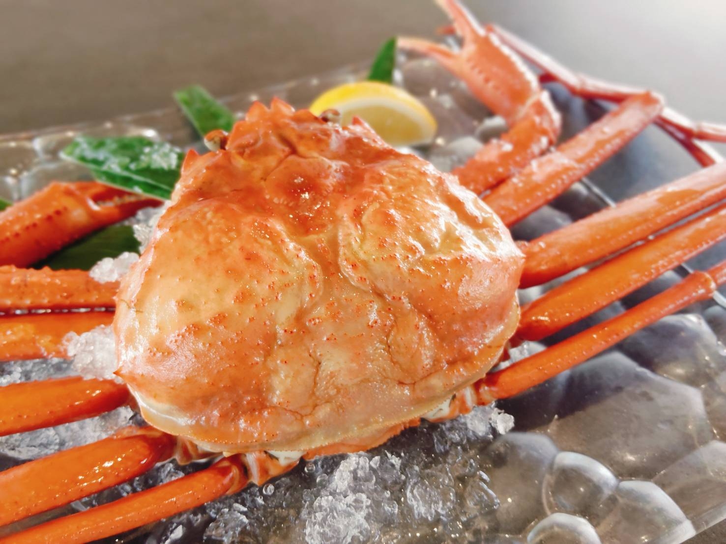 ★期間限定★１泊２食付男鹿の赤ガニづくしプラン！日本酒のみくらべセットor男鹿のクラフトビール付き★