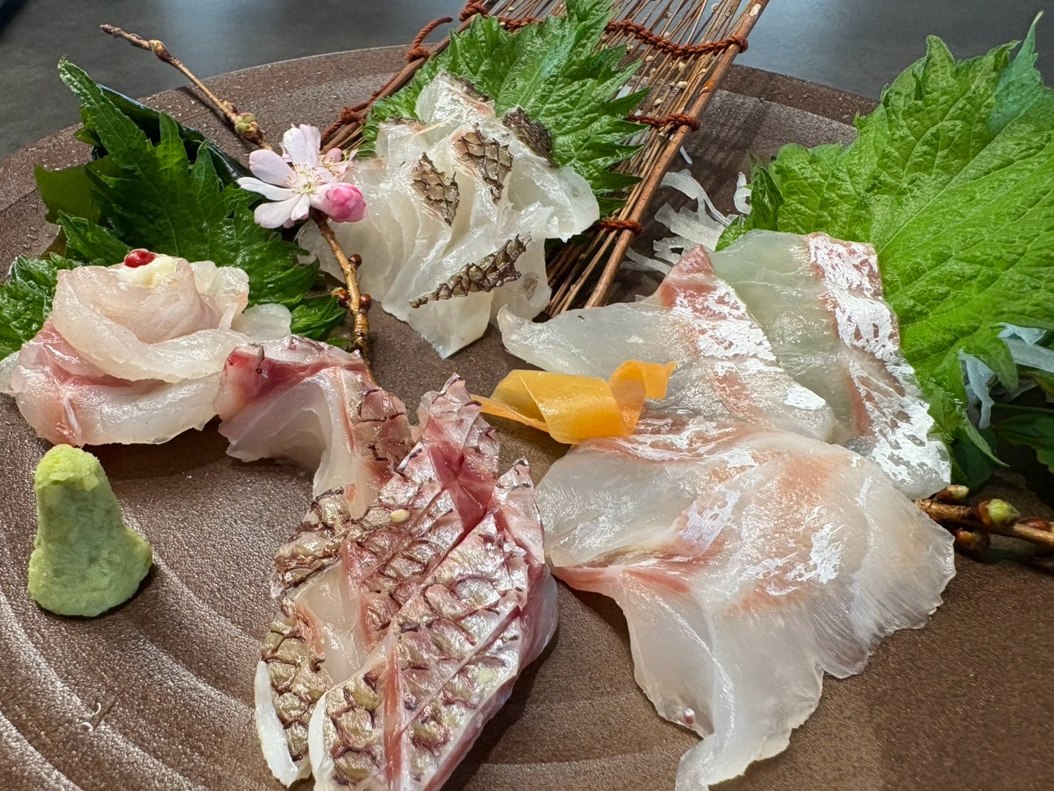 鯛のお造り（季節限定）