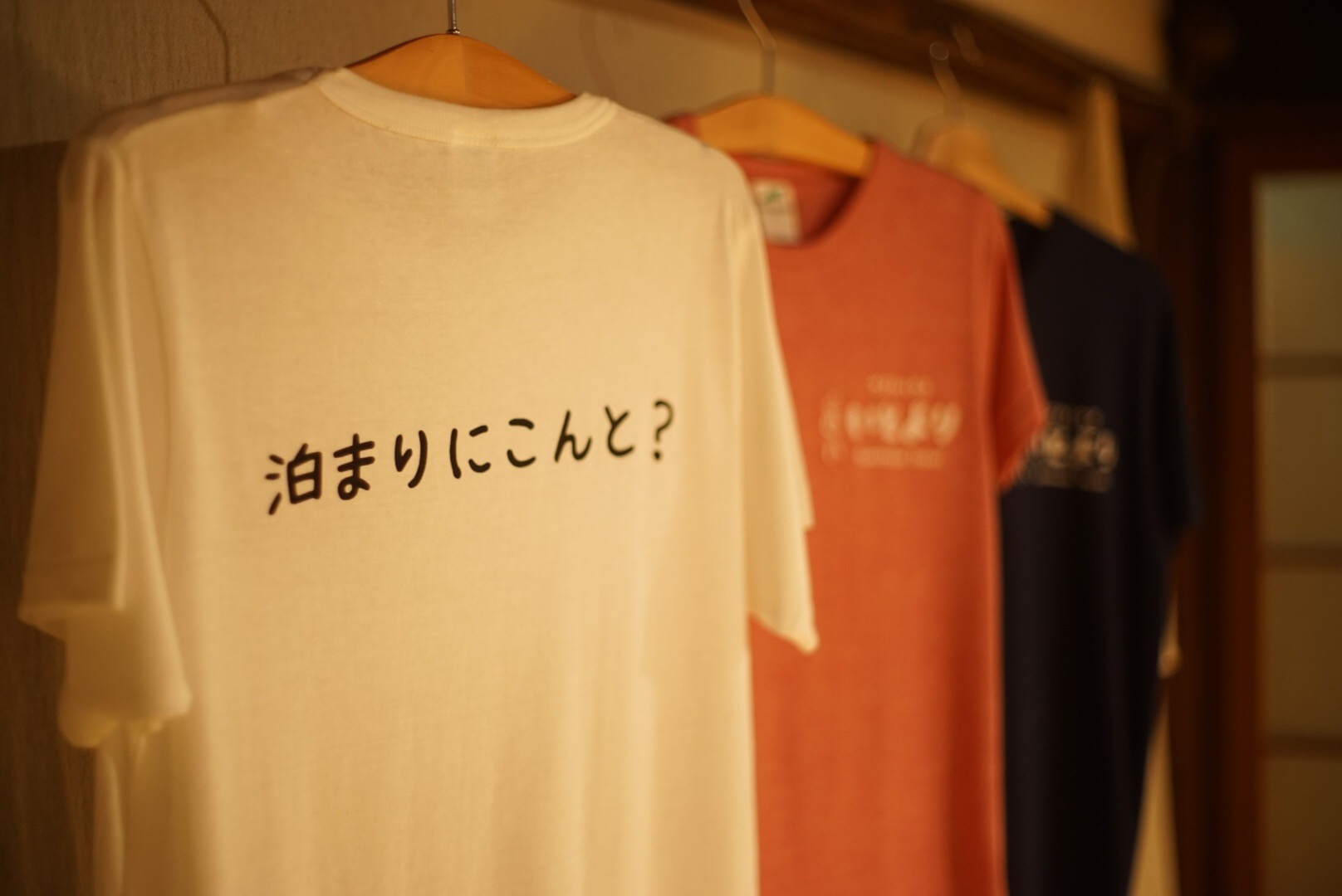 泊まりにこんと？