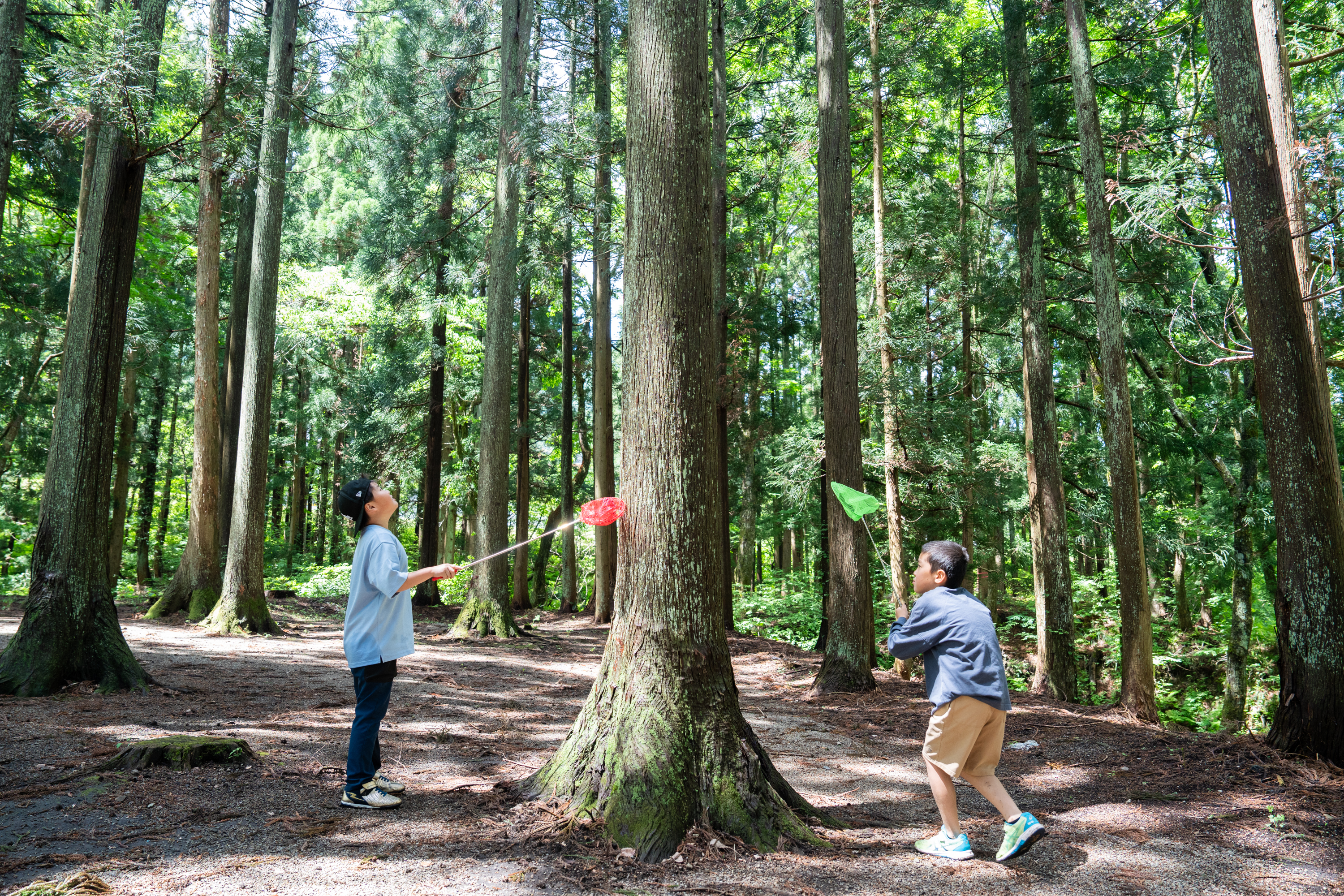 豊かな緑に囲まれた鬼首の森では、虫取りや自然散策など、子どもたちがのびのびと遊べる自然体験を楽しめます。ご家族で過ごす夏の思い出づくりにもおすすめです。