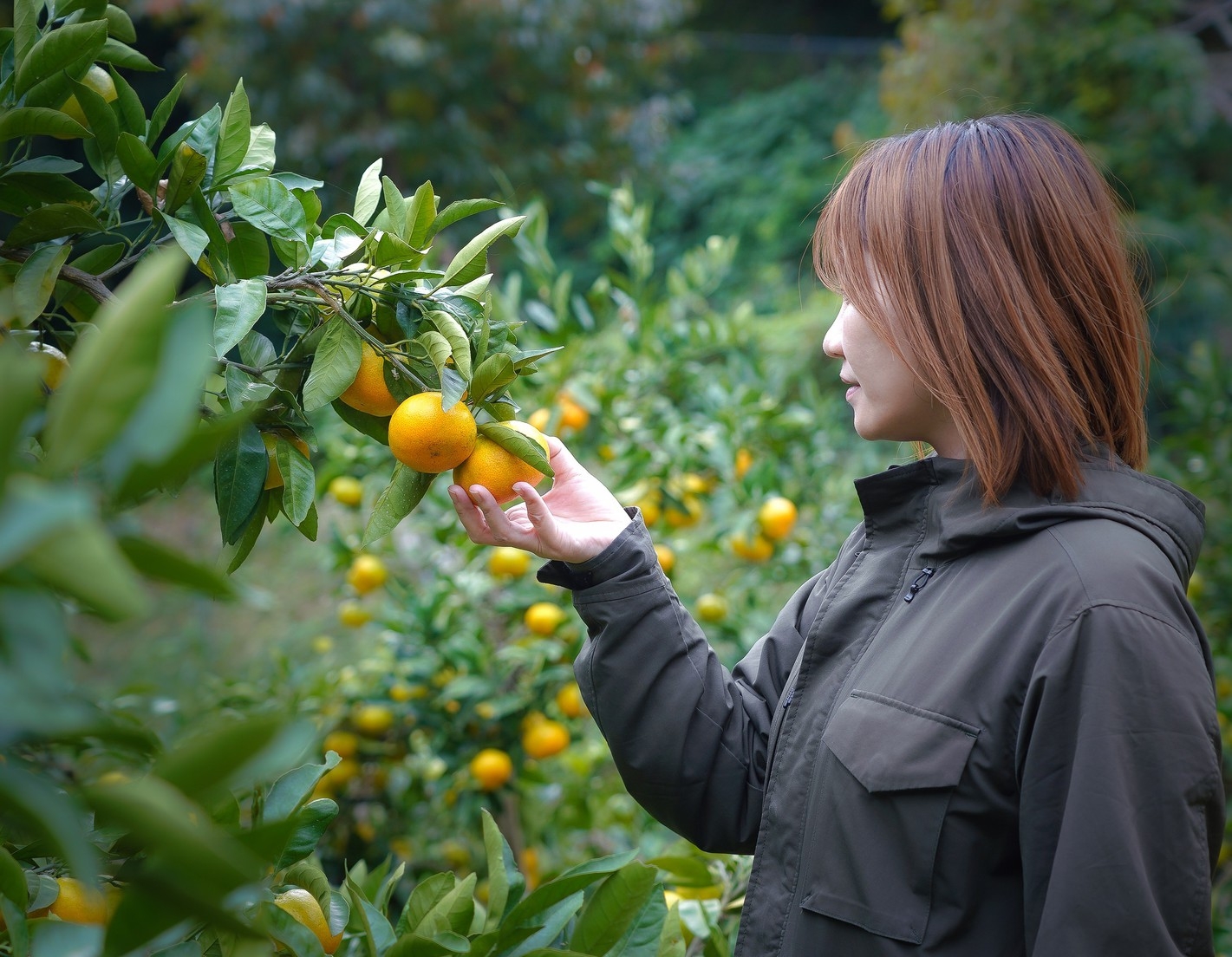 【10％OFF＋湯河原旬彩体験】〈1泊2食〉冬の味覚と温泉旅グランピング-あたたまる冬旅を-