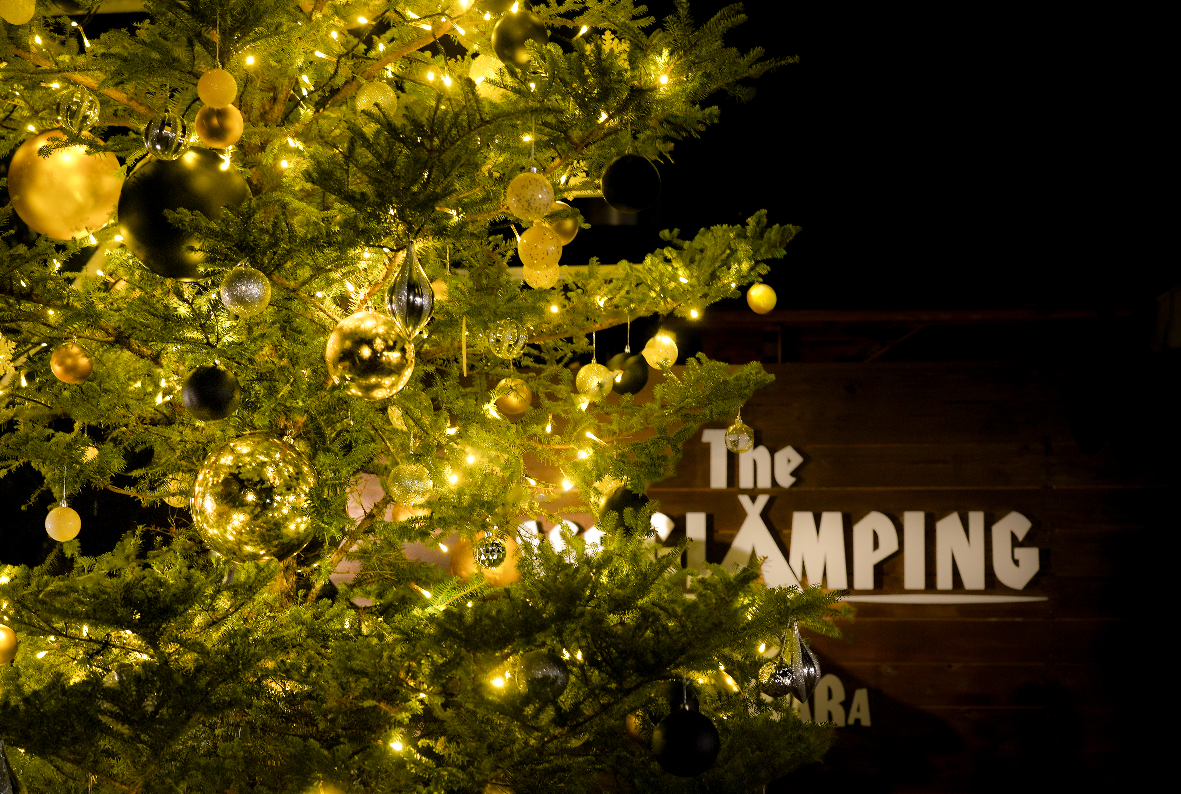 〔Christmas限定〕約5mのクリスマスツリー