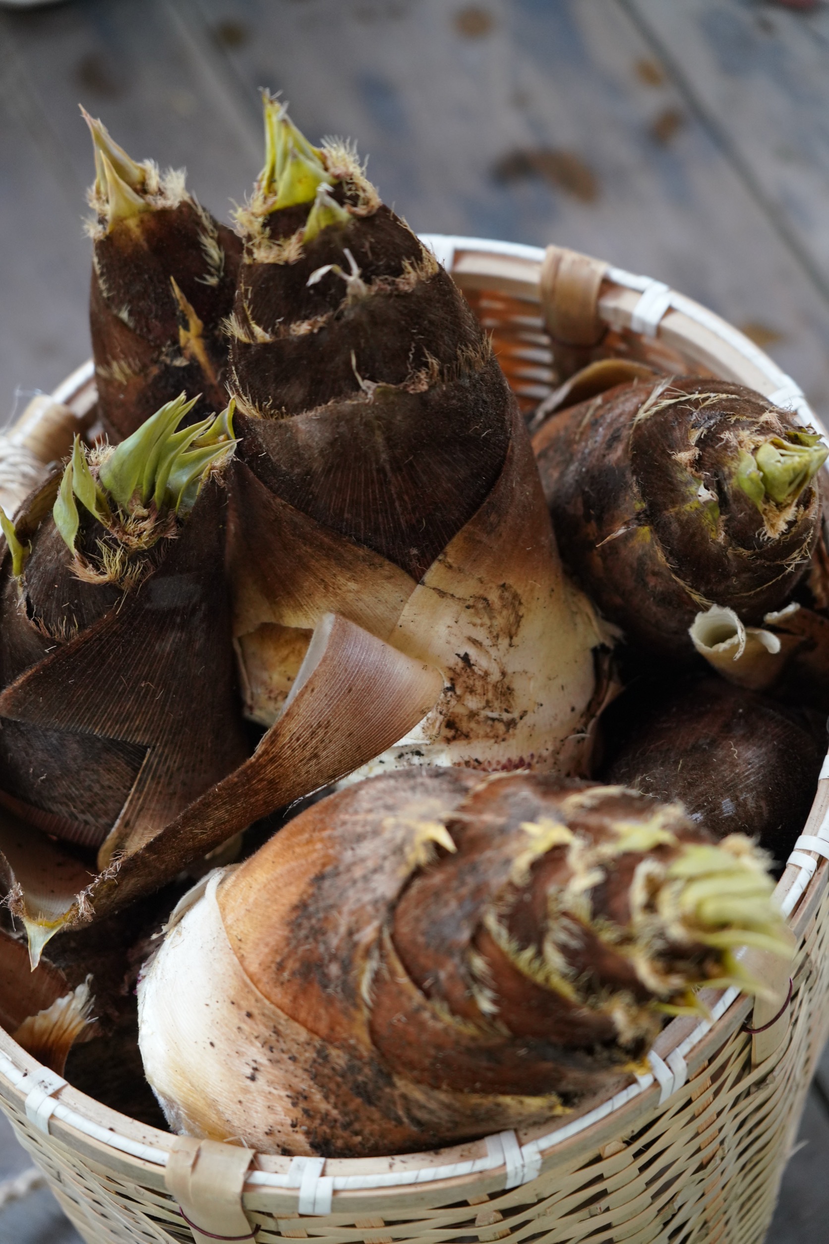 〔マルシェ〕春限定：筍