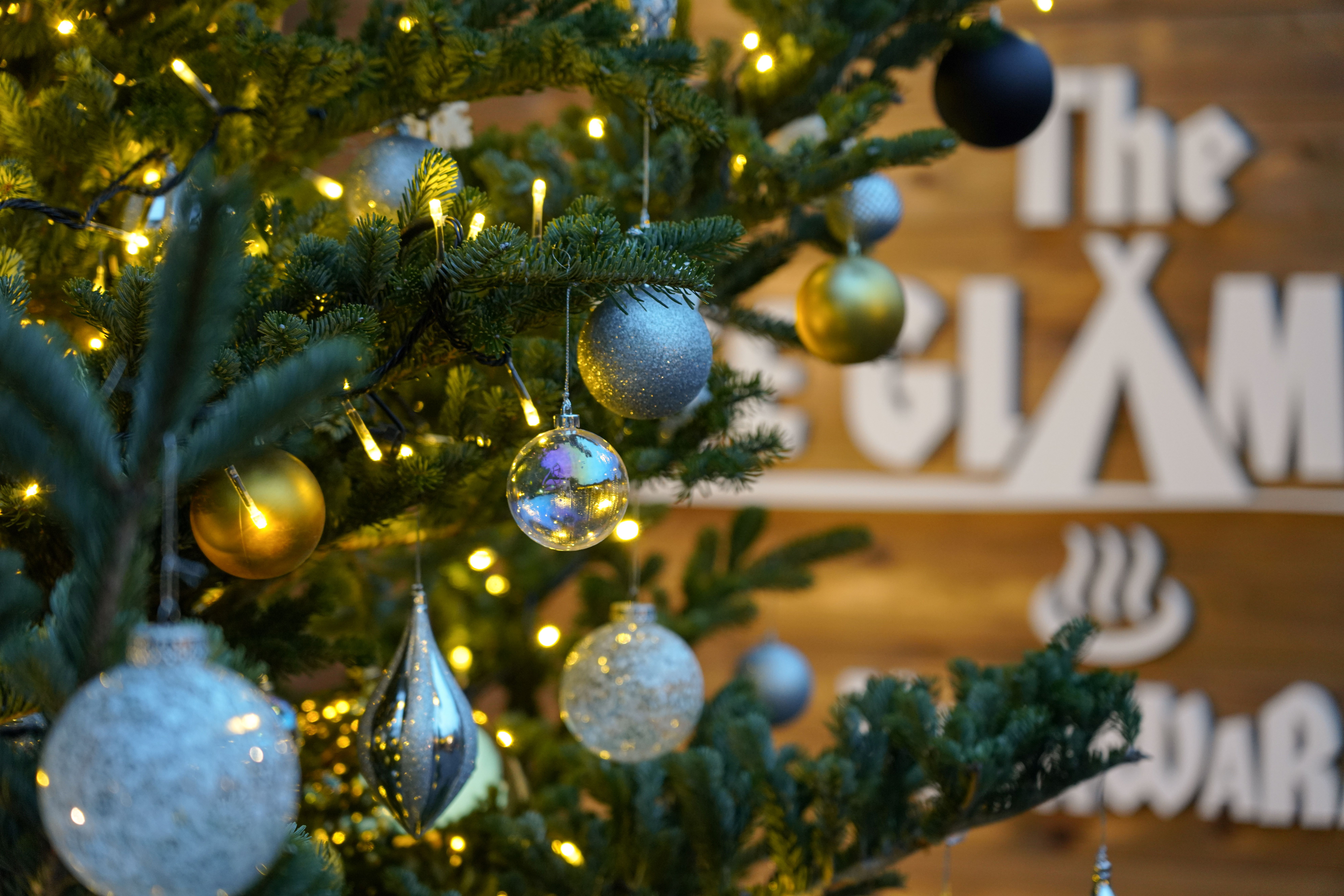 〔クリスマス限定〕クリスマスツリー