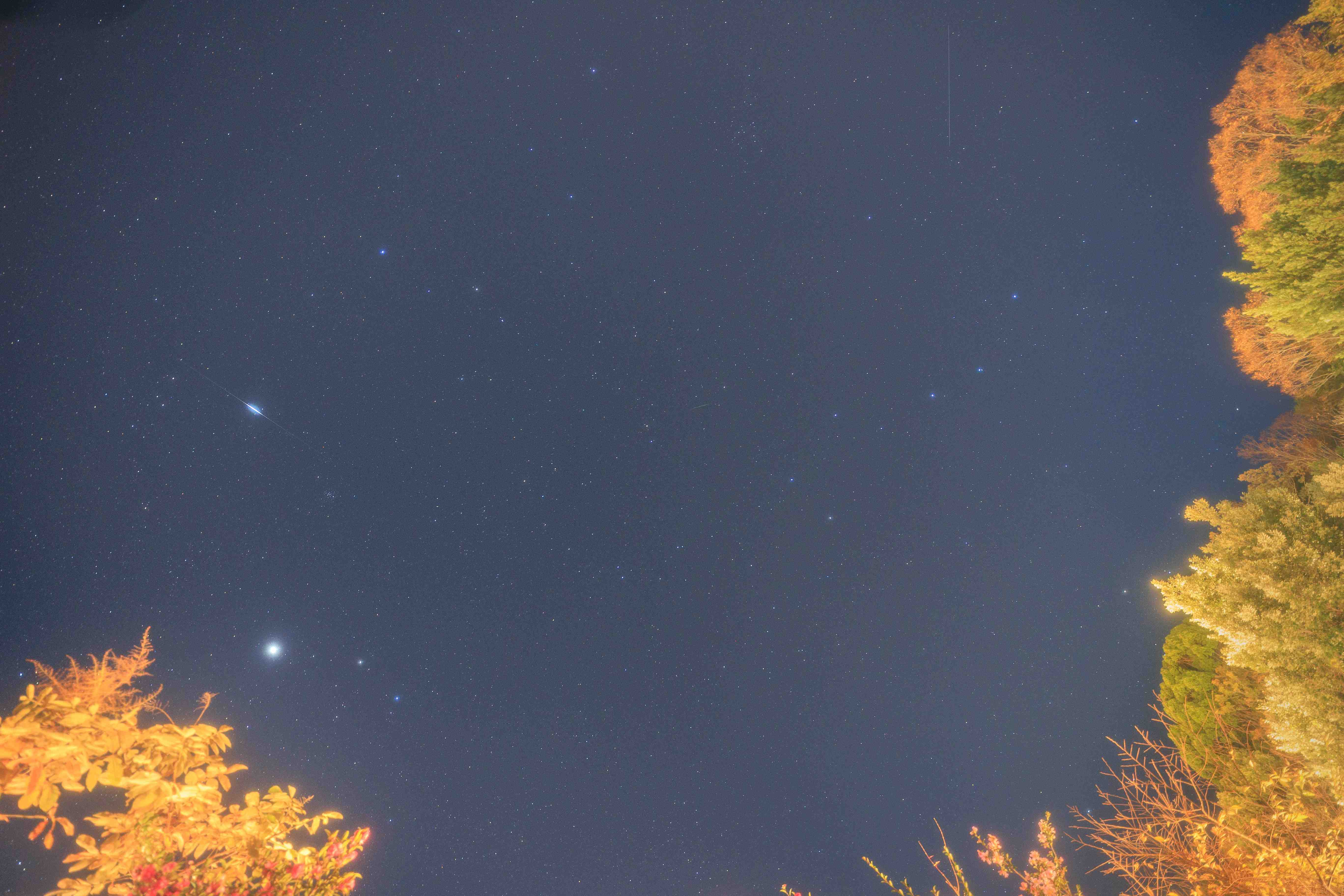 冬の夜だけの特別時間｜星空&times;焚火