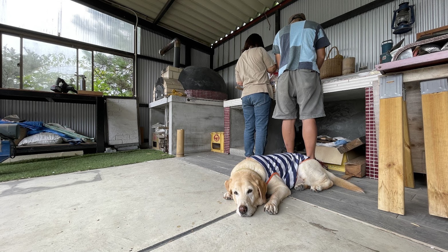 ワンちゃんも一緒に