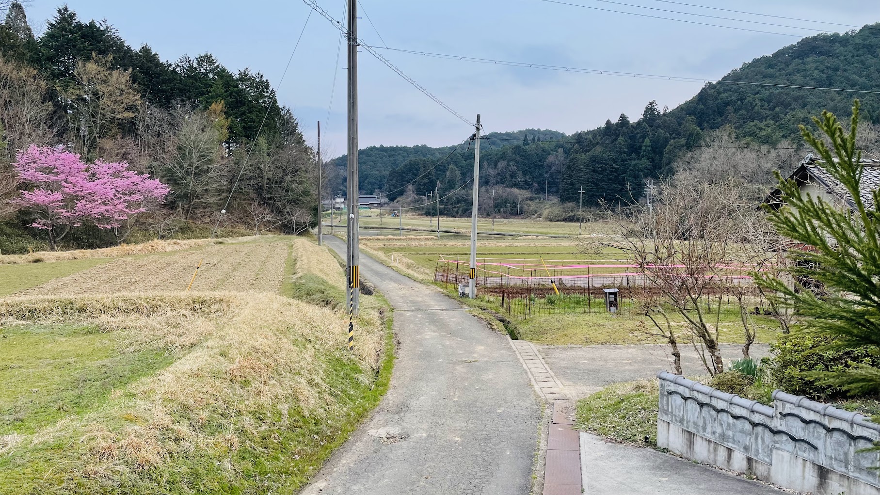 サウナからの眺め