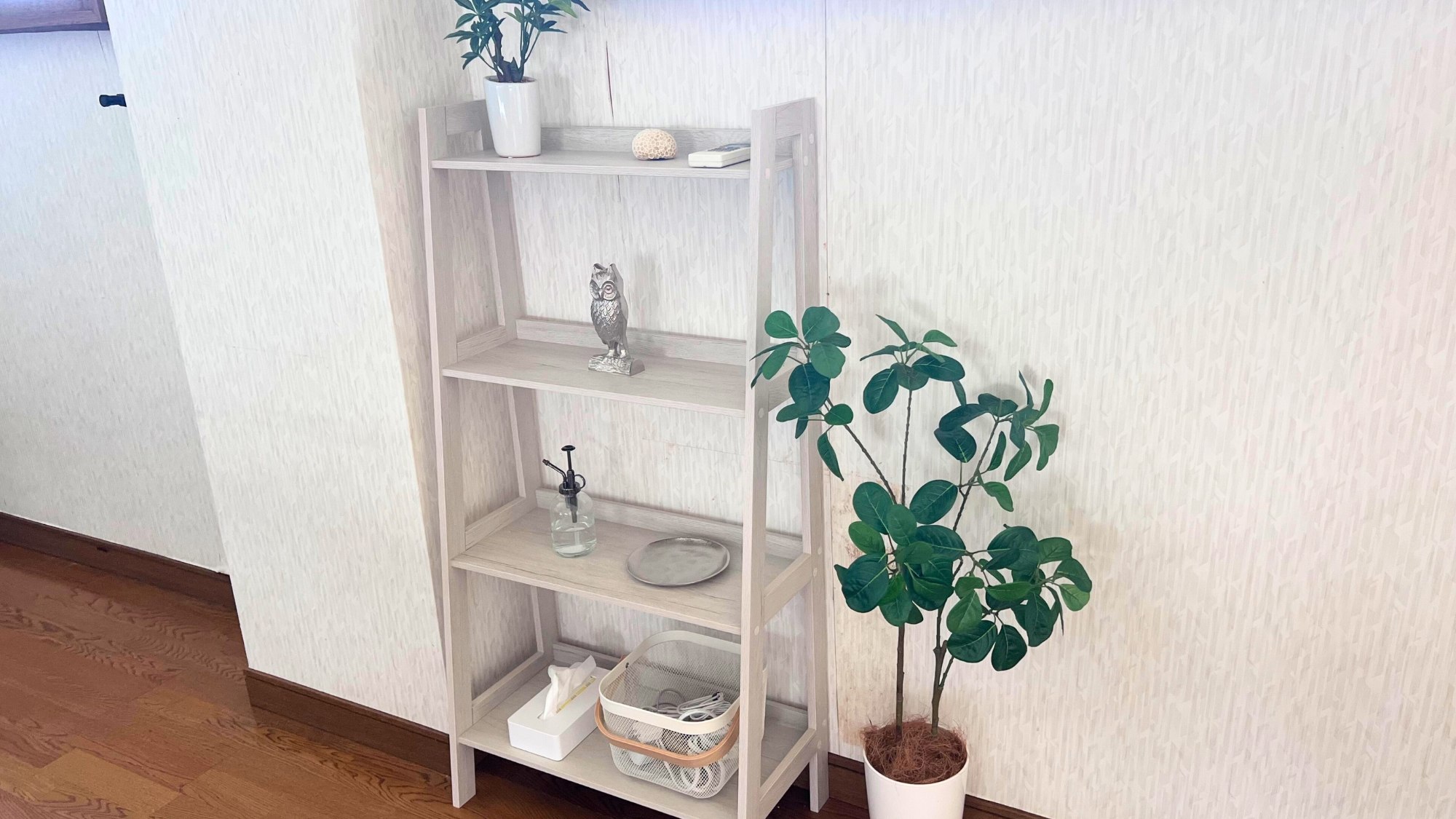 シンプルな棚と観葉植物、清潔感のある空間。