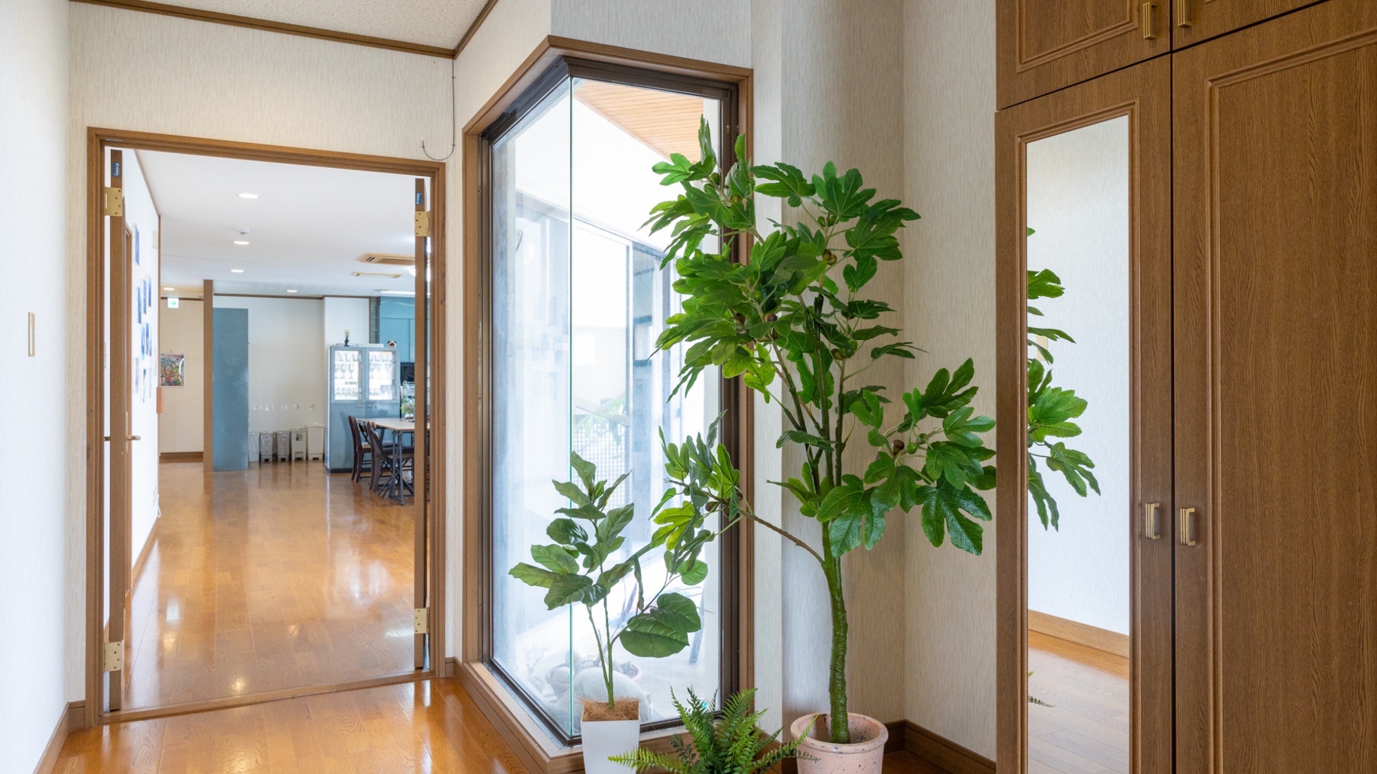 観葉植物が映える玄関と廊下