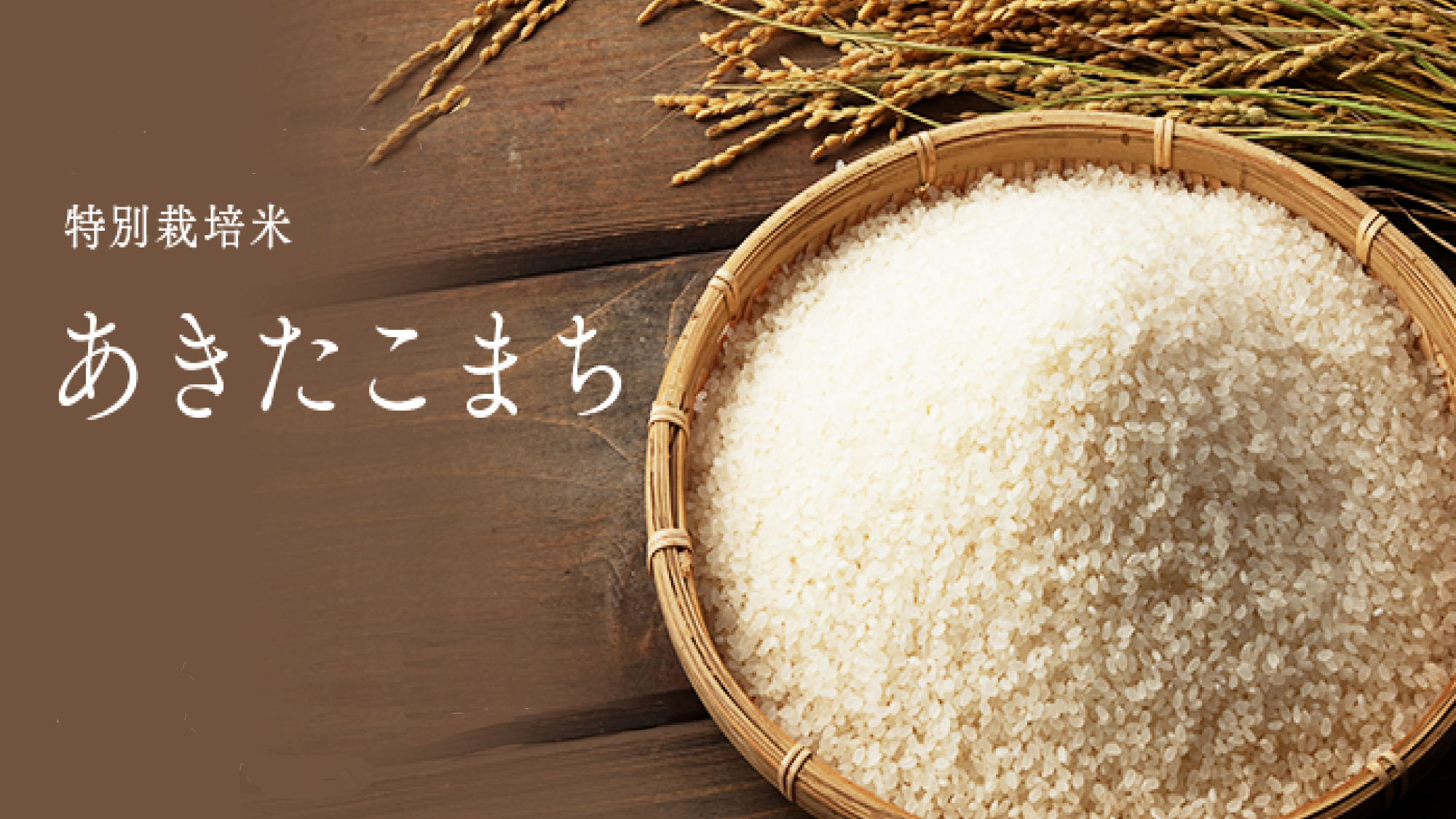 【朝食】お米は秋田県産 つやつやの「あきたこまち」