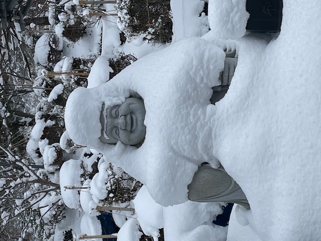 布袋さん雪綿帽子