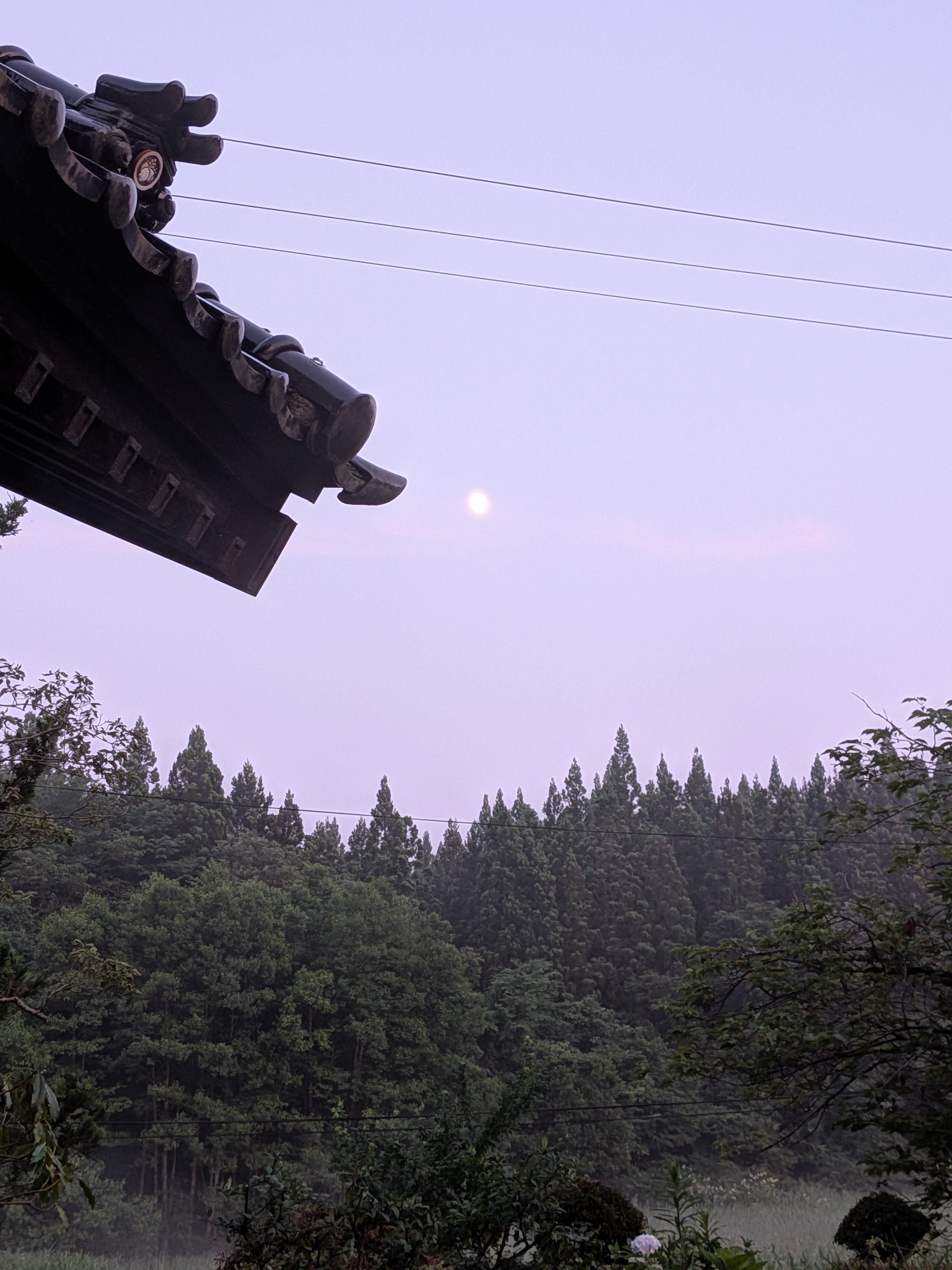 2025年7月7日撮影