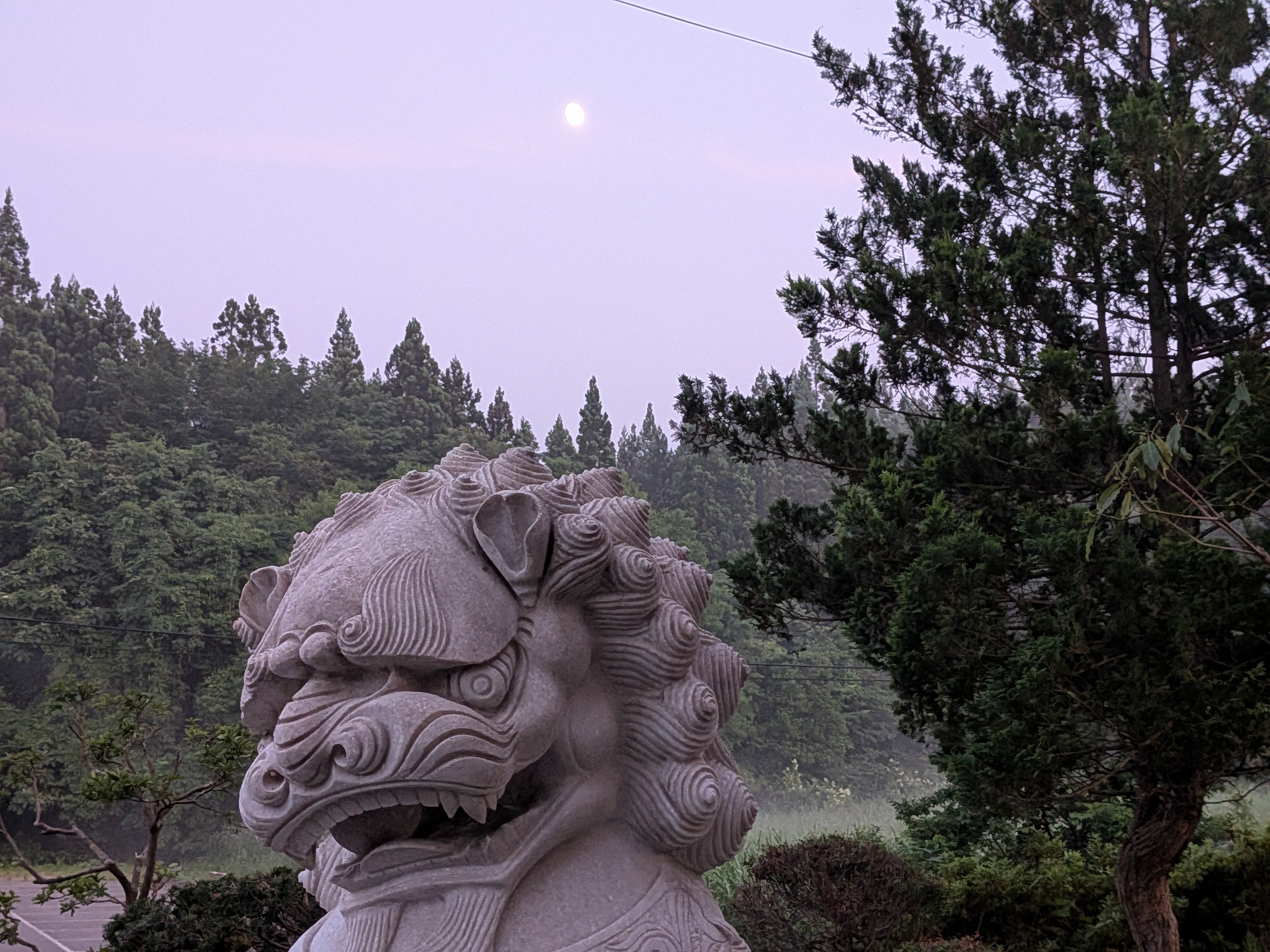 2025年7月7日撮影