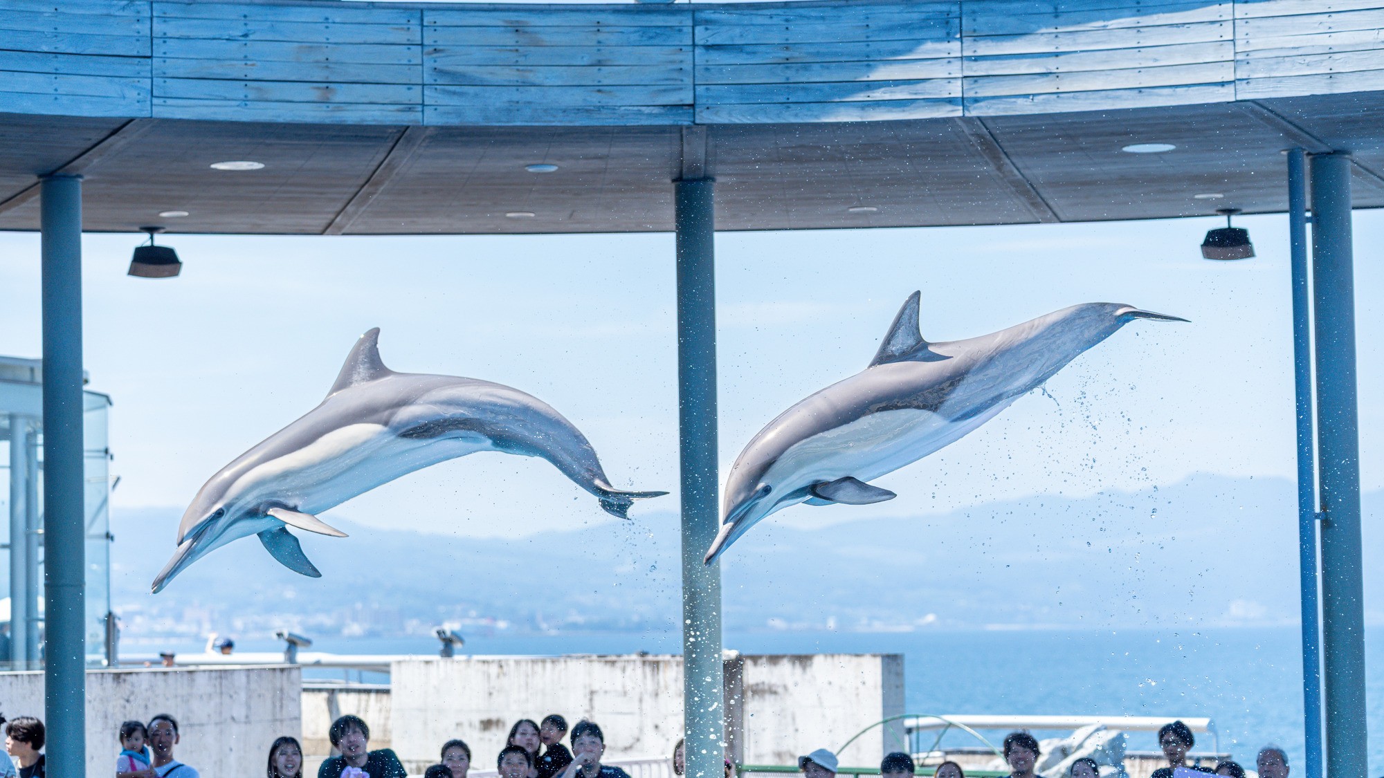 ISHINOYA別府／石のや別府（TKP Hotels & Resorts） - 写真 94
